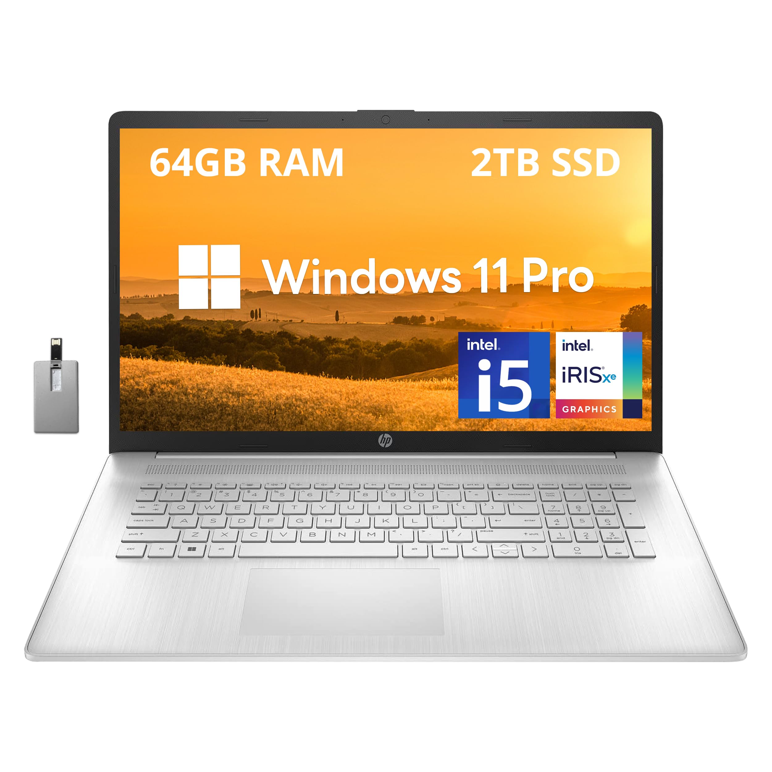 HP 17.3'' FHD Business Laptop, Intel Core i5-1235U, 64GB RAM, 2TB PCIe SSD, Intel Iris Xe Graphics, Backlit Keyboard, HD Camera, Wi-Fi, Bluetooth, Win 11 Pro, Silver, 32GB Hotface USB Card