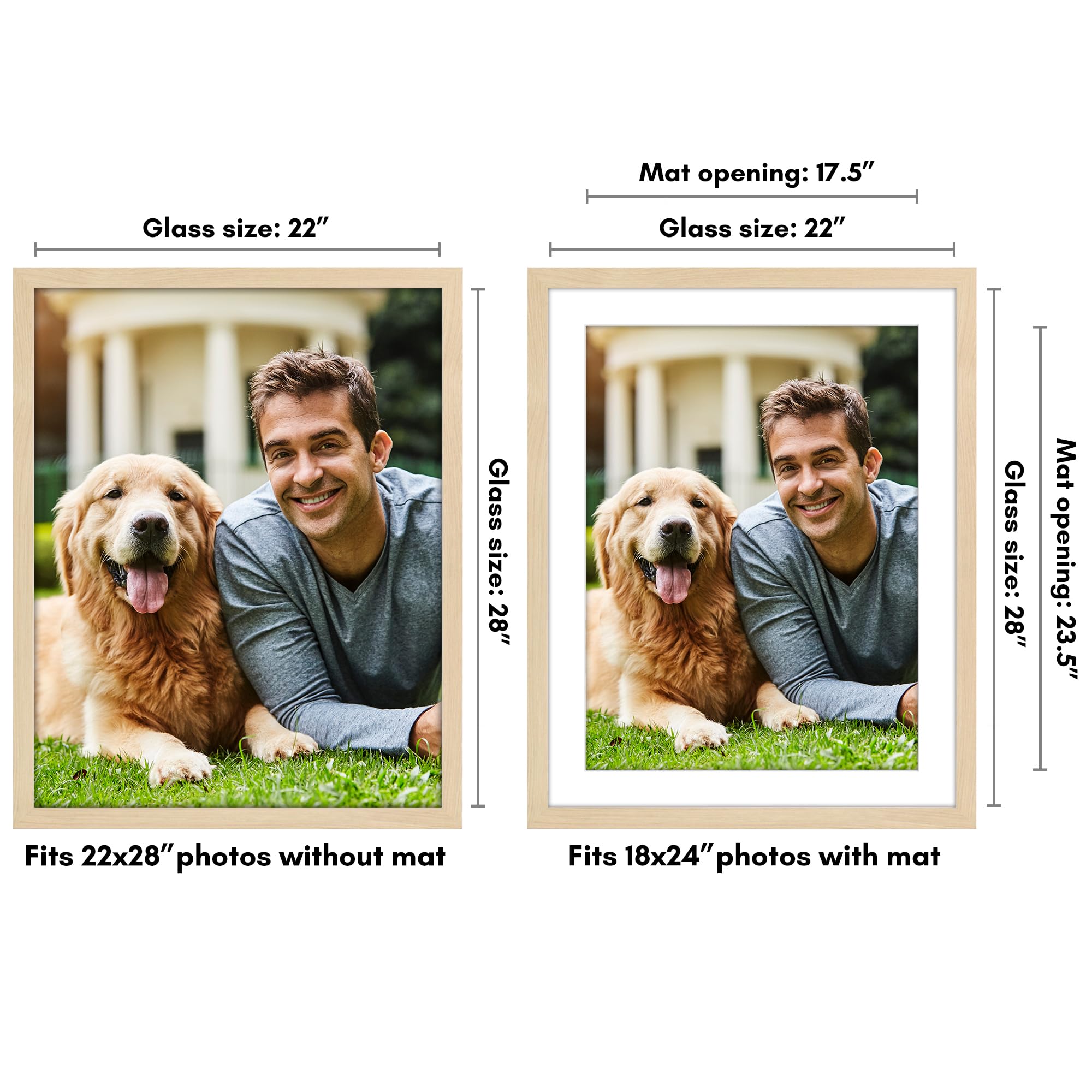 https://m.media-amazon.com/images/I/81zvv-Pz-xL.jpg