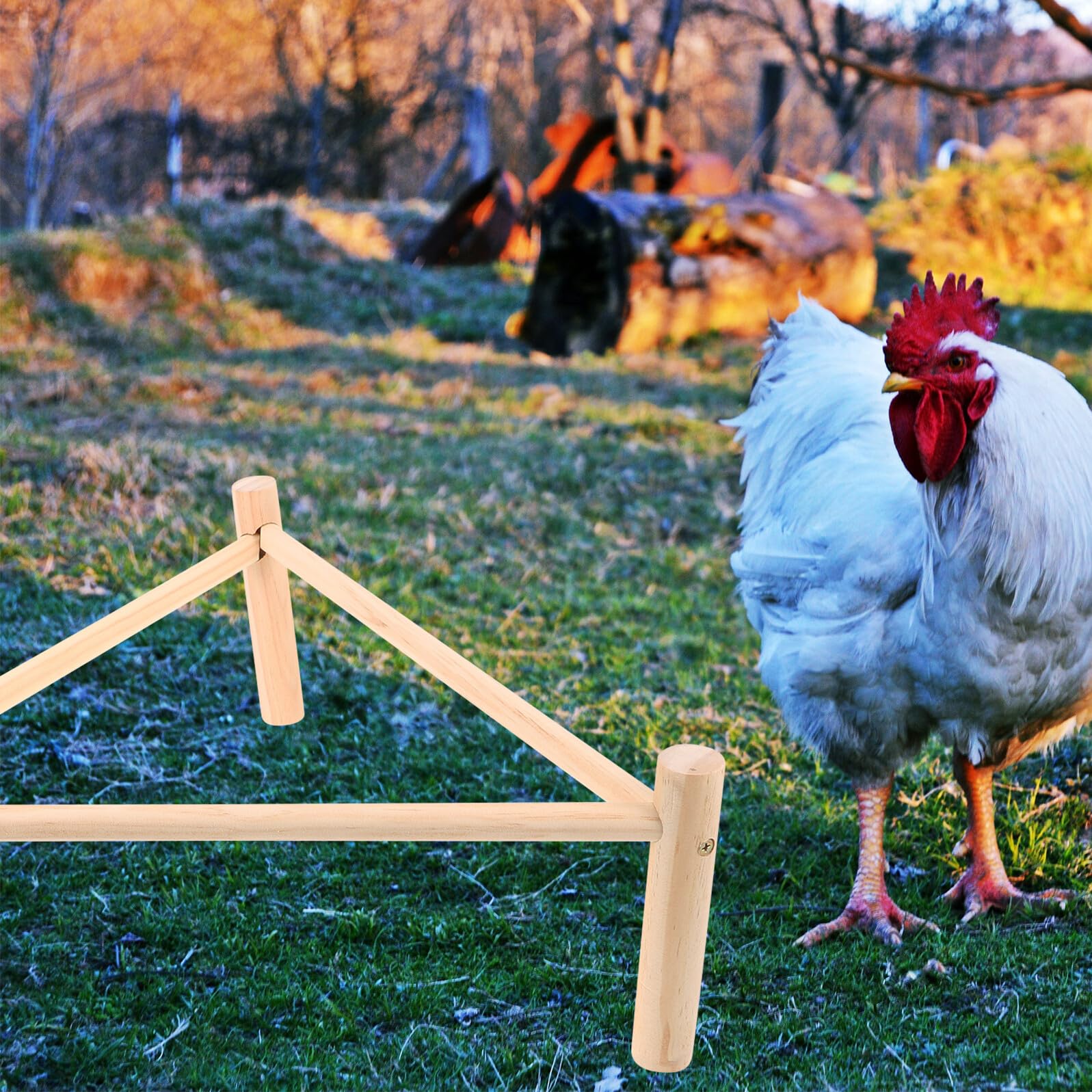 Hemobllo Posatoio in Legno per Galline e Uccelli Beige, Supporto Rialzato Multifunzione Pollaio, come Giocattolo e Riposo per Animali Domestici