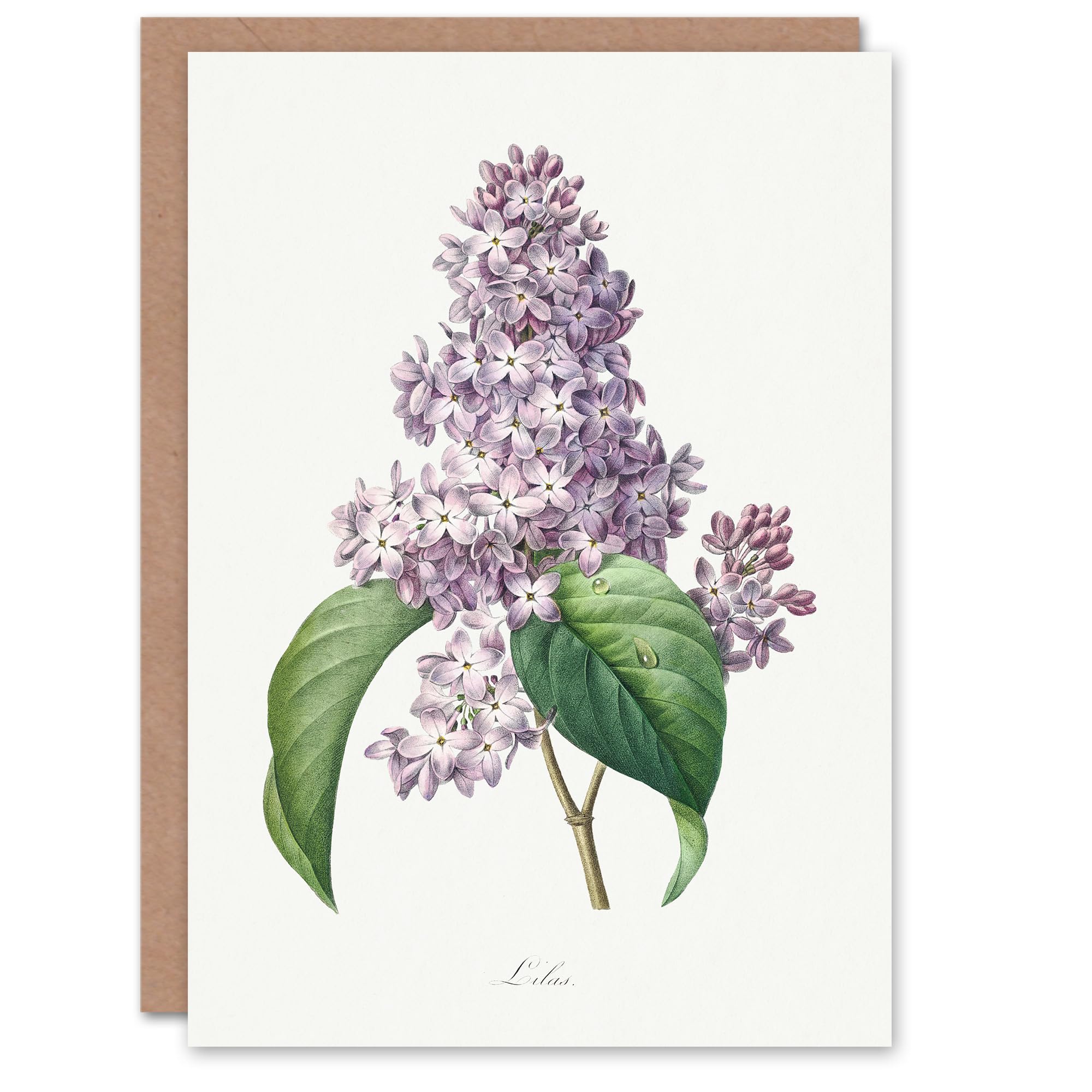 Artery8 Pierre-Joseph Redouté Art Card Lilac Vintage Floral Illustration