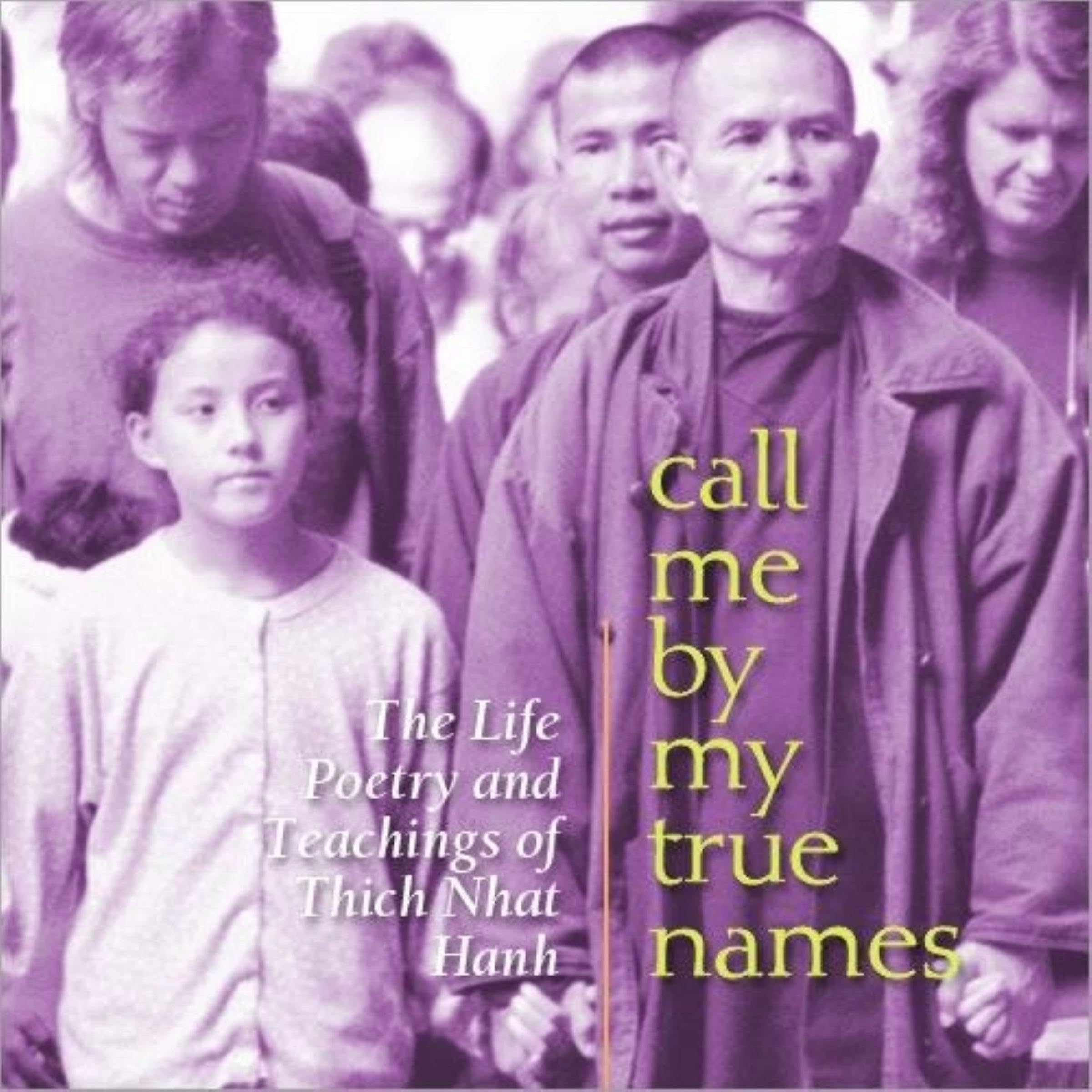 Cover art for Call Me by My True Names