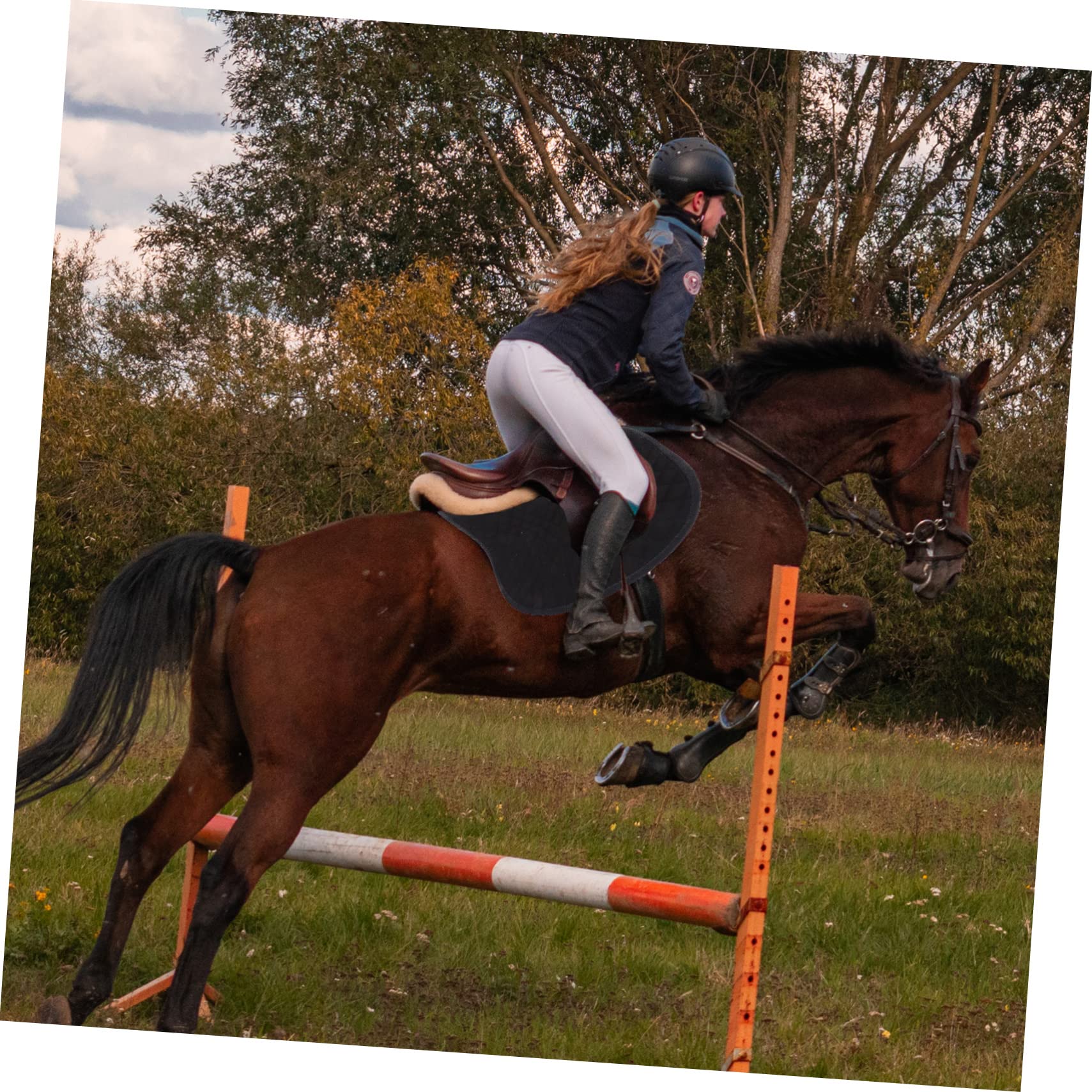 Cojín Negro Silla de Montar Antideslizante para Caballo