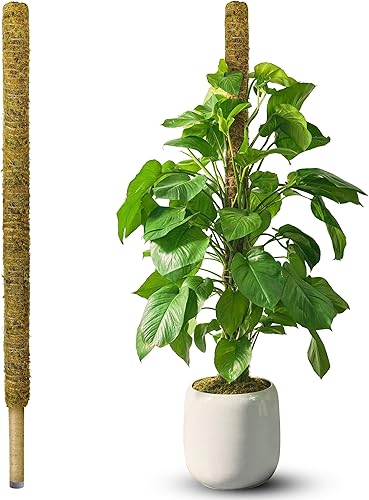 DUSPRO Poste de musgo grande de 59 pulgadas para plantas Monstera, soporte alto para plantas de interior para grandes potos trepadores, tótem de
