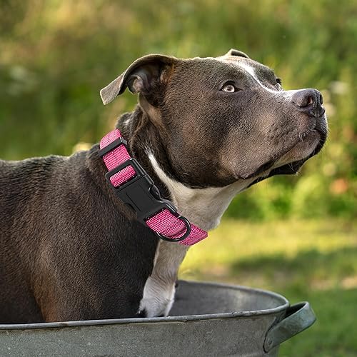 Miniatura 2 de Collar para perro Mile High Life  Náilon con tres correas reflectantes 3M  Verde lima azul caliente rosa morado rojo, Hot Pink