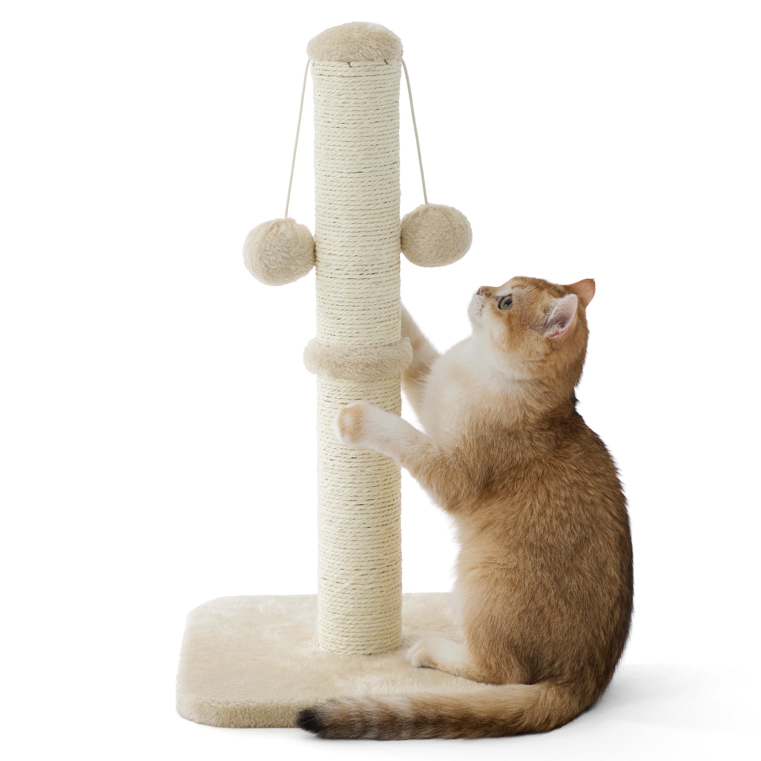 Lesure Kratzsäule Mittelgroßer für Katzen Indoor - Kratzstamm mit Hängendem Spielball, Kleiner Kratzbaum mit Sisalseil, Stabile Basis Kratzsäule