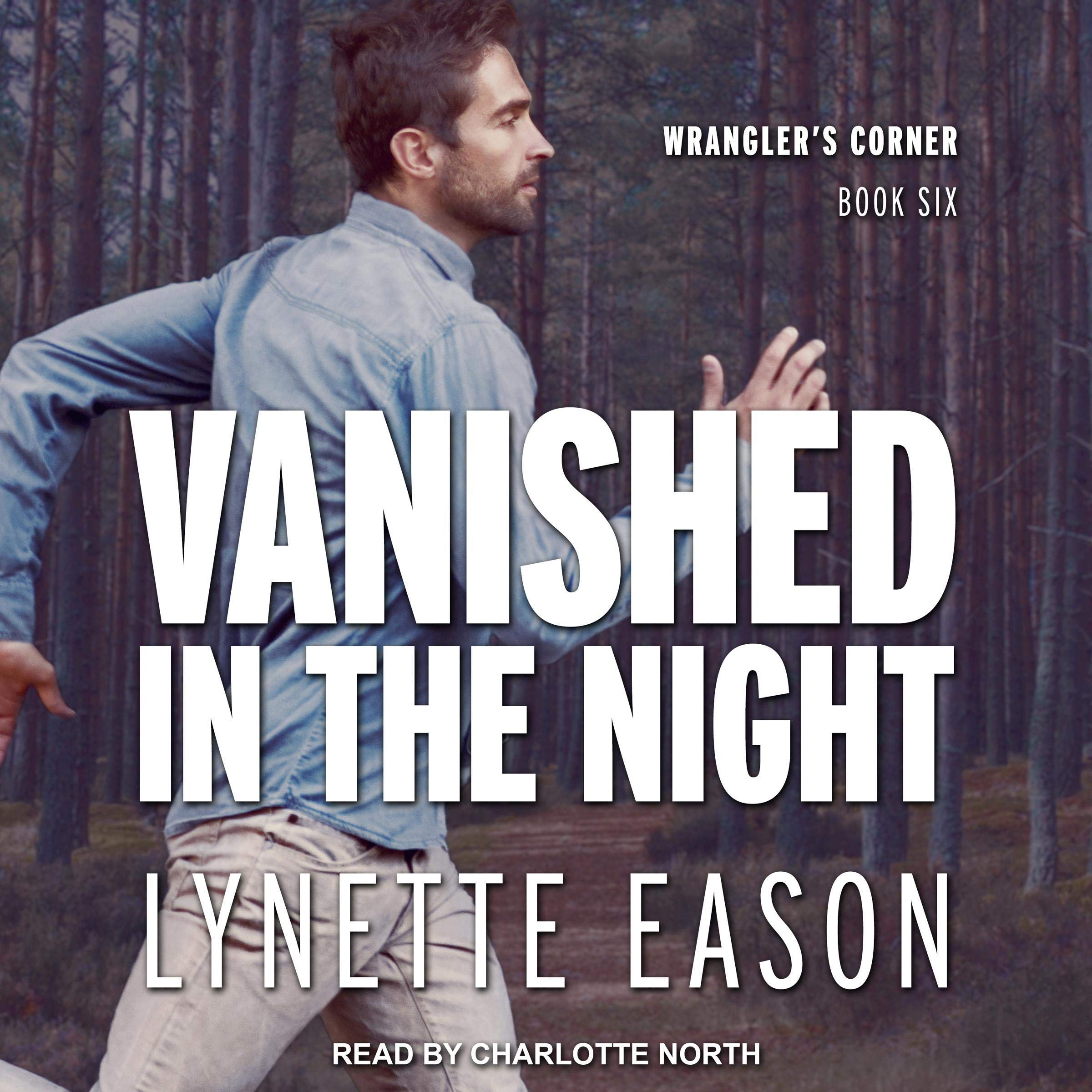 Cover art for Vanished in the Night