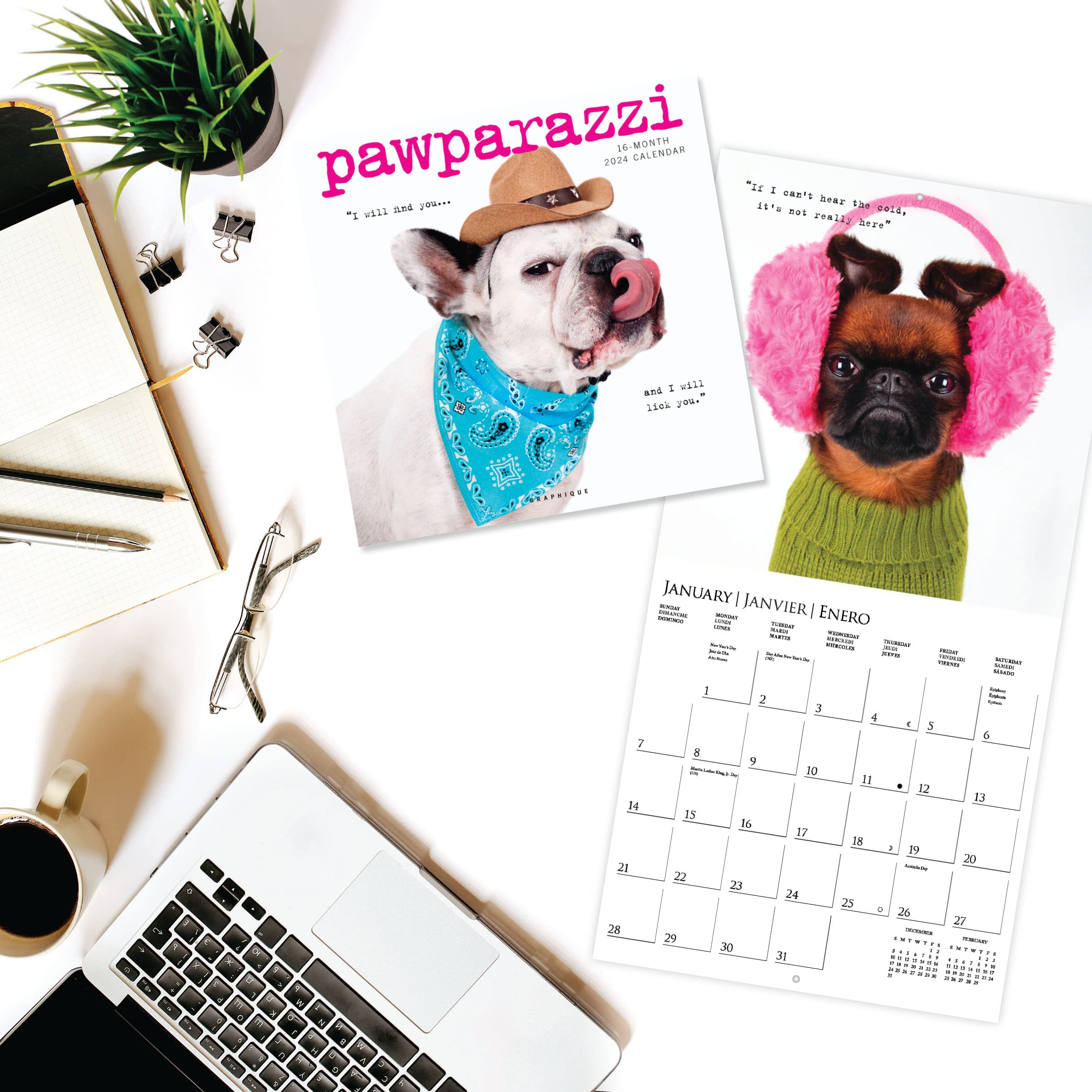 Graphique 2024 Pawparazzi Wall Calendar - Image 2