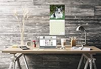 Vista 1075 de Razas de Perros 2017