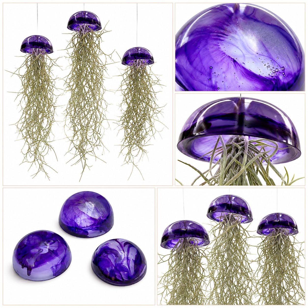 Juego de tres plantas de aire de medusas de cristal púrpura epoxi tillandsia plantas aéreas.