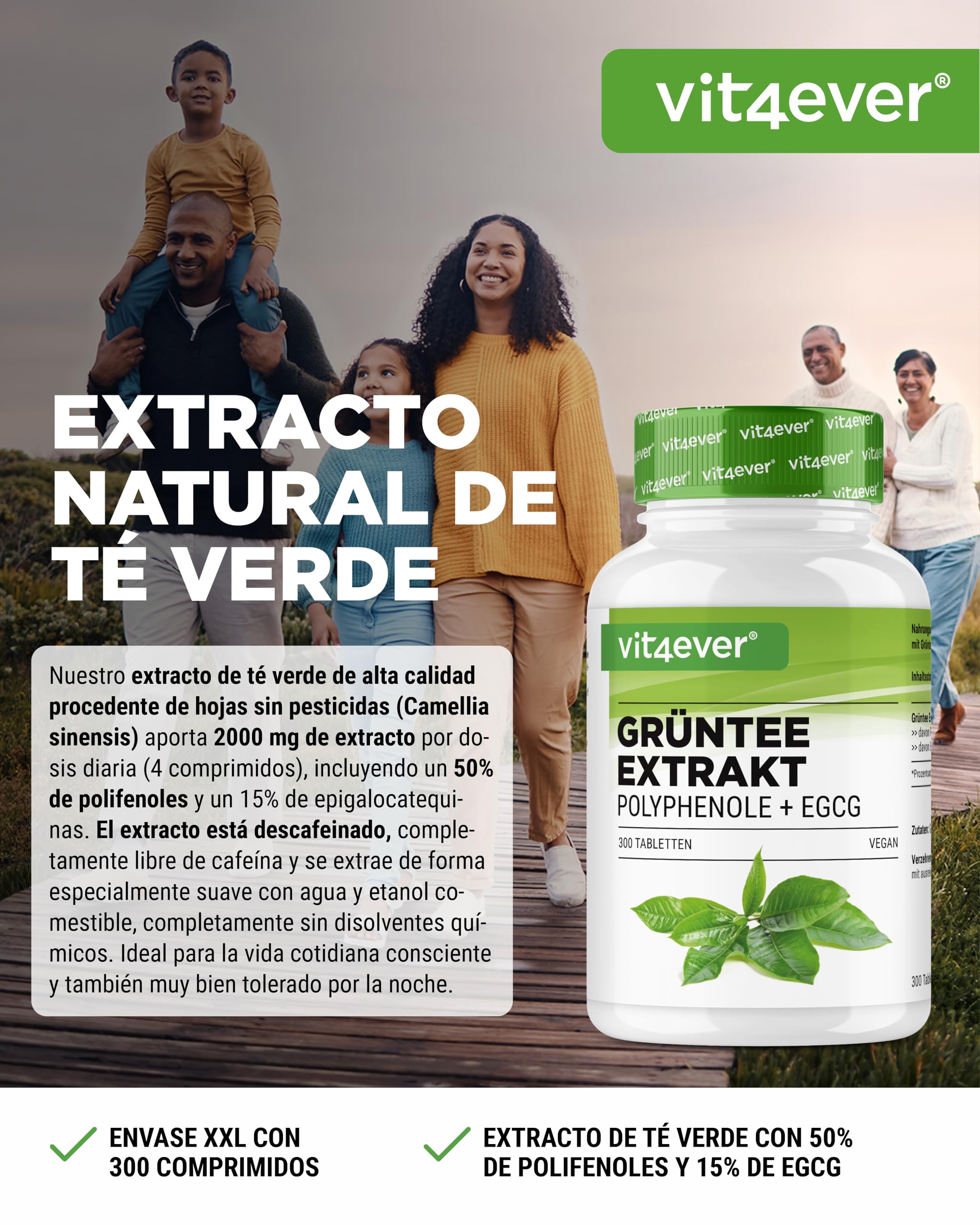 Extracto de Té Verde 300 Comprimidos - Alta Dosis con 2000 mg de Extracto de Té Verde, 300 mg de EGCG y 1000 mg de Polifenoles por Dosis diaria - Green Tea - Vegano - Sin aditivos innecesarios