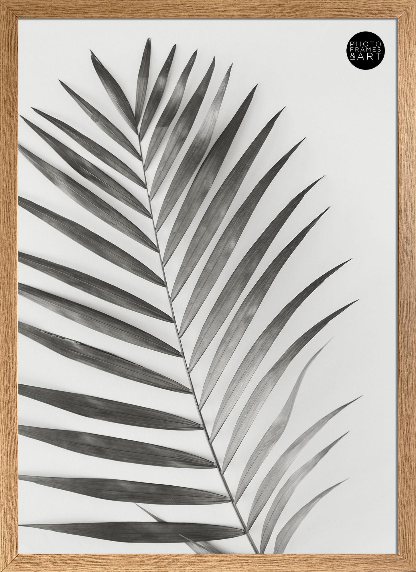 pf+a Wide Oak Effect Frame For 50x70 cm Poster - Perspex Window - 50x70cm Oak Effect Poster Frame / 50x70cm
