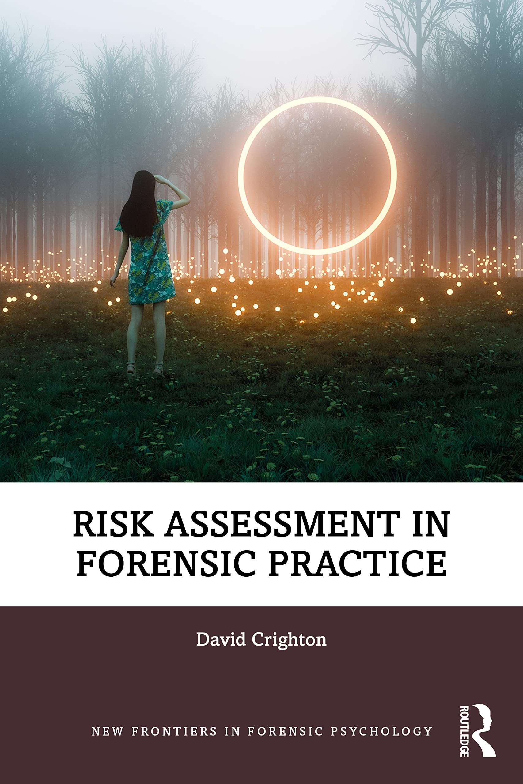 Risk Assessment in Forensic Practice (New Frontiers in Forensic Psychology)