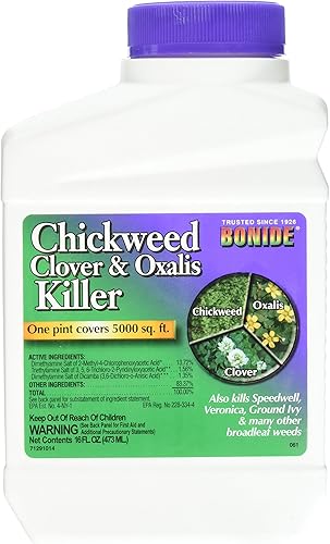 Bonide Pamplona/Trébol Klr Pt