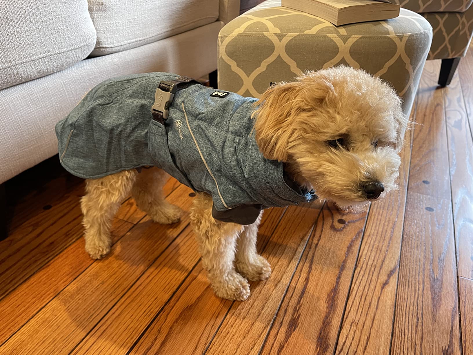 13/mo Finance Hurtta Expedition Parka, Winter Dog Coat, Bilberry, 14 in Buy Now, Pay Later