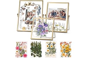 Gold Picture Frame Set with 68 Dried Flowers for Pressed Flower Frames