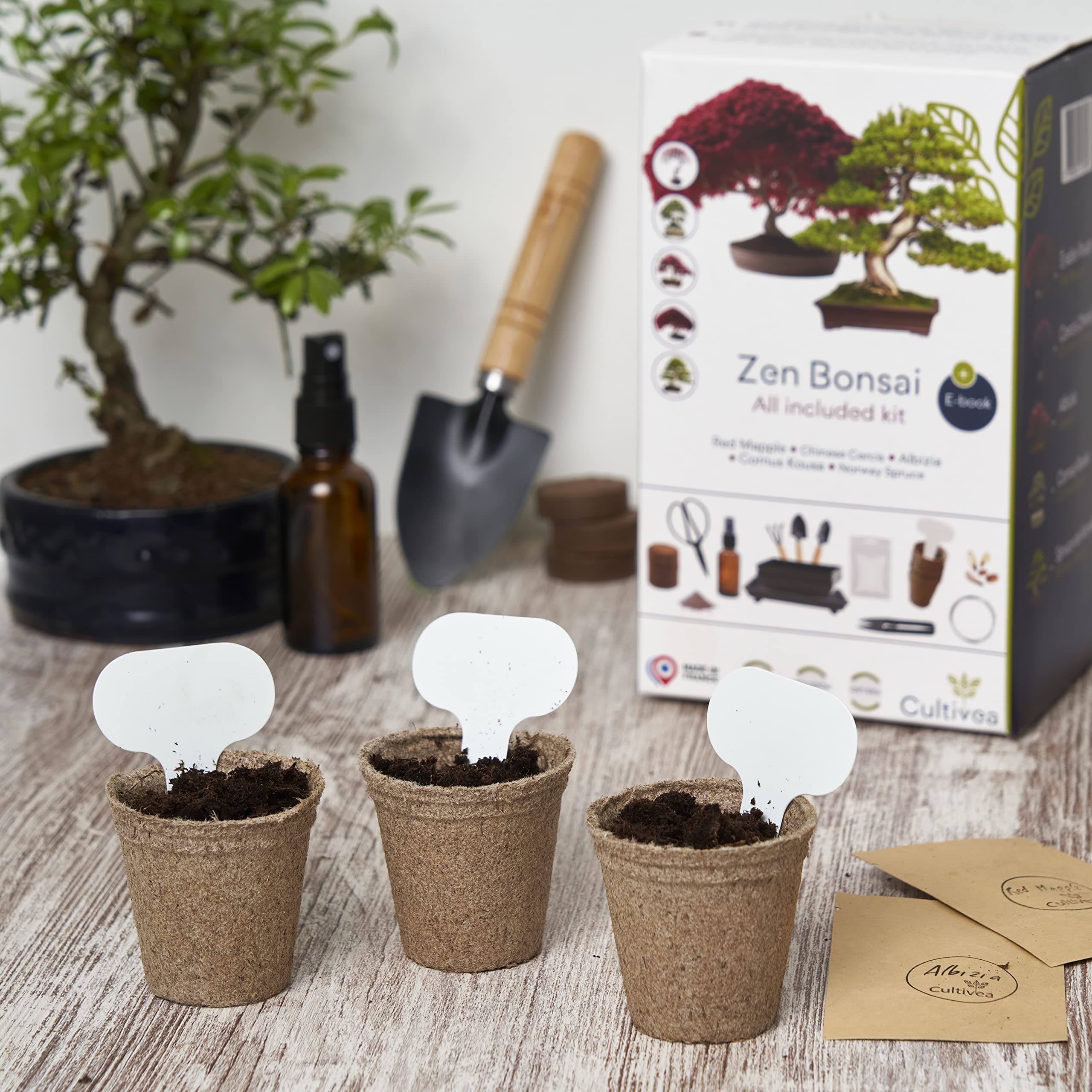 CULTIVEA® Gotowy do uprawy zestaw bonsai premium - ogród i dekoracja - pielęgnacja bonsai i naturalnych roślin - nić, nawóz, narzędzia, okrągłe nożyczki, małe nożyczki bonsai - oryginalny pomysł na