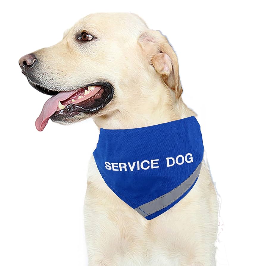 レトリバー レトリバーページ ゴールデンレトリバー 口輪(ワイヤタイプ) [M9