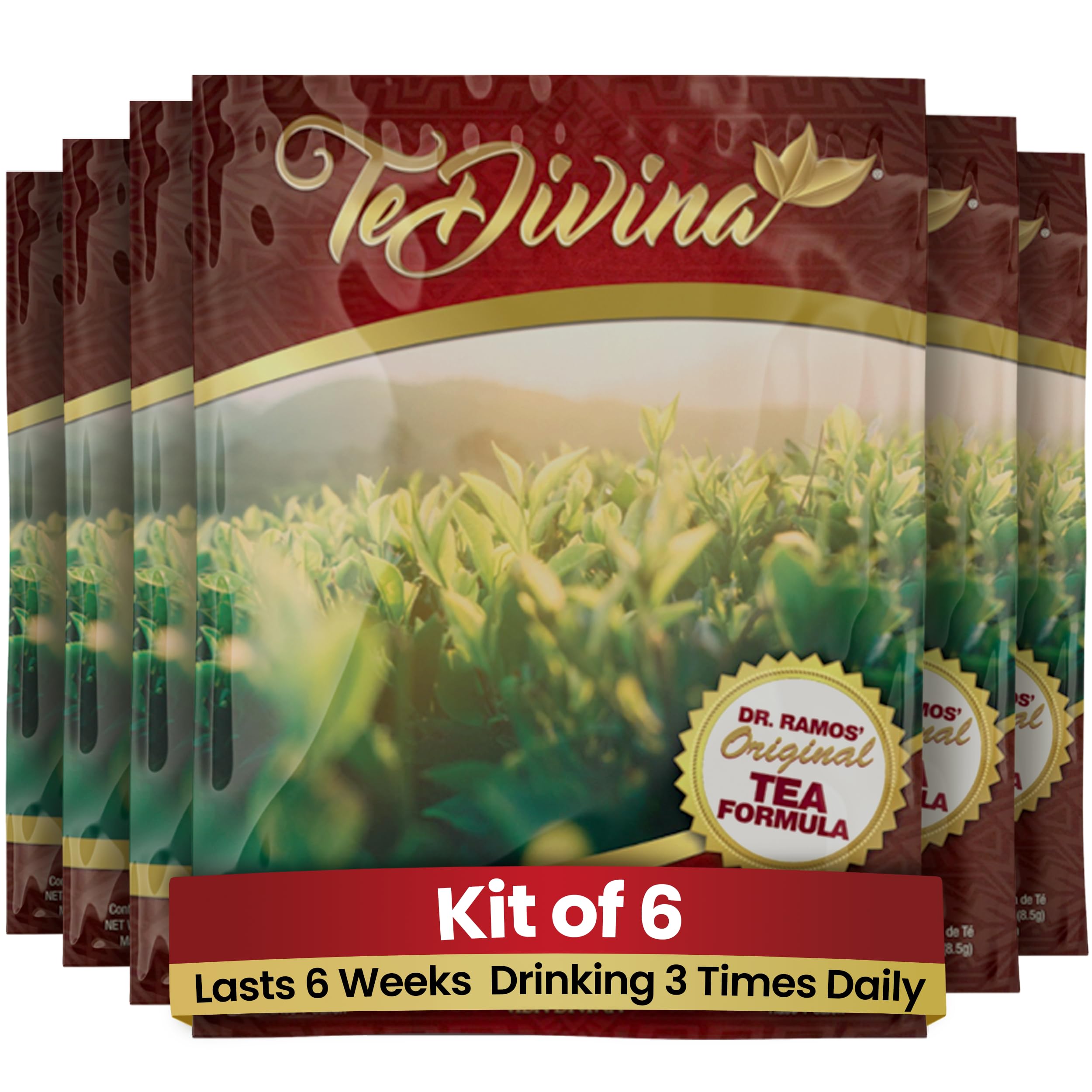 TeDivina Tea, 12 Botanical Blend for Colon Cleanse and Body Support, Original Flavor, 0.3oz Pack of 6 by Vida Divina - Wellness Drink