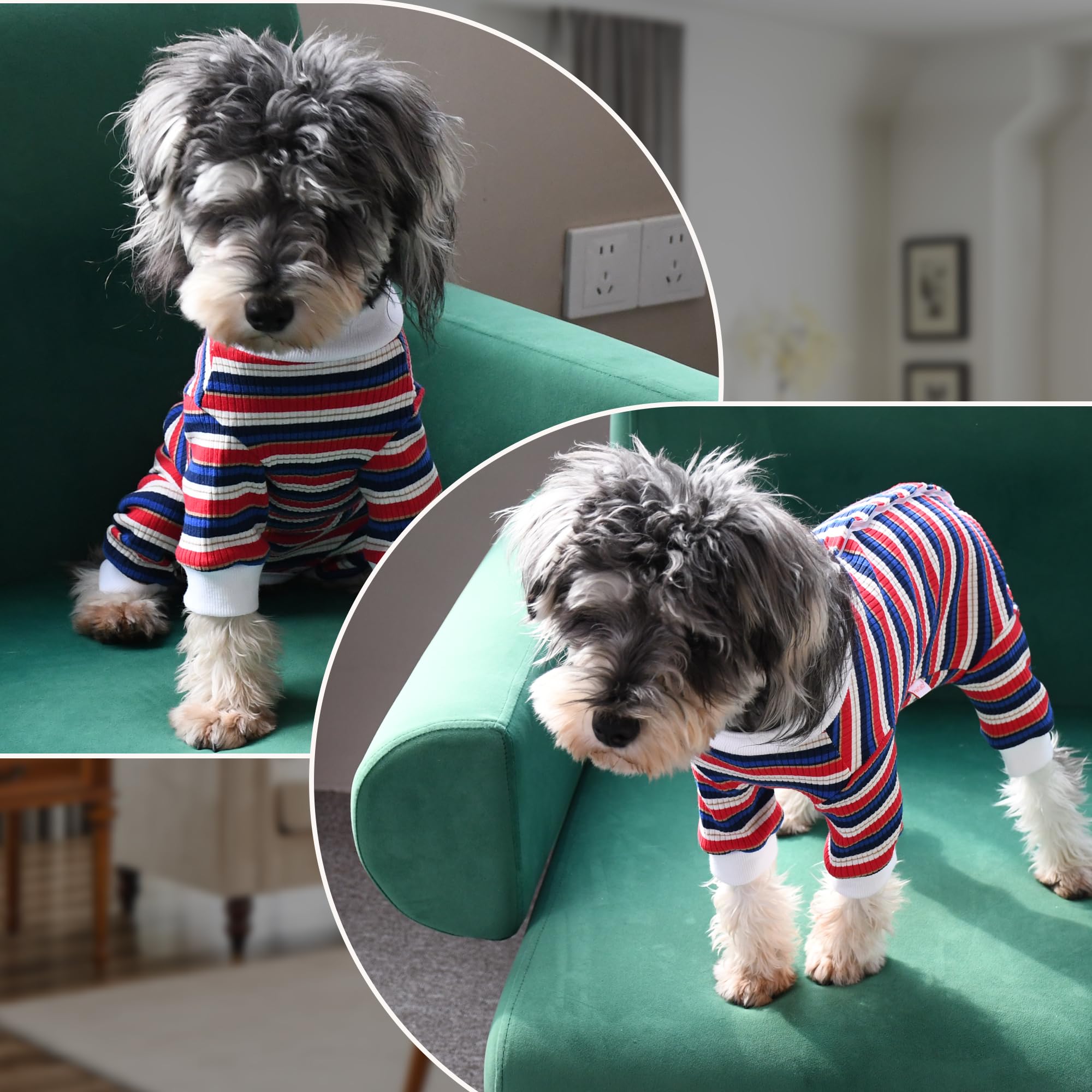 Body Perro Post Cirugía Hembra Macho Traje de Recuperación para Perros Manga Larga a Rayas Body Post Quirurgico Cachorro Pijama Camiseta Médica Gatos Protección de Heridas, Azul-Rojo L
