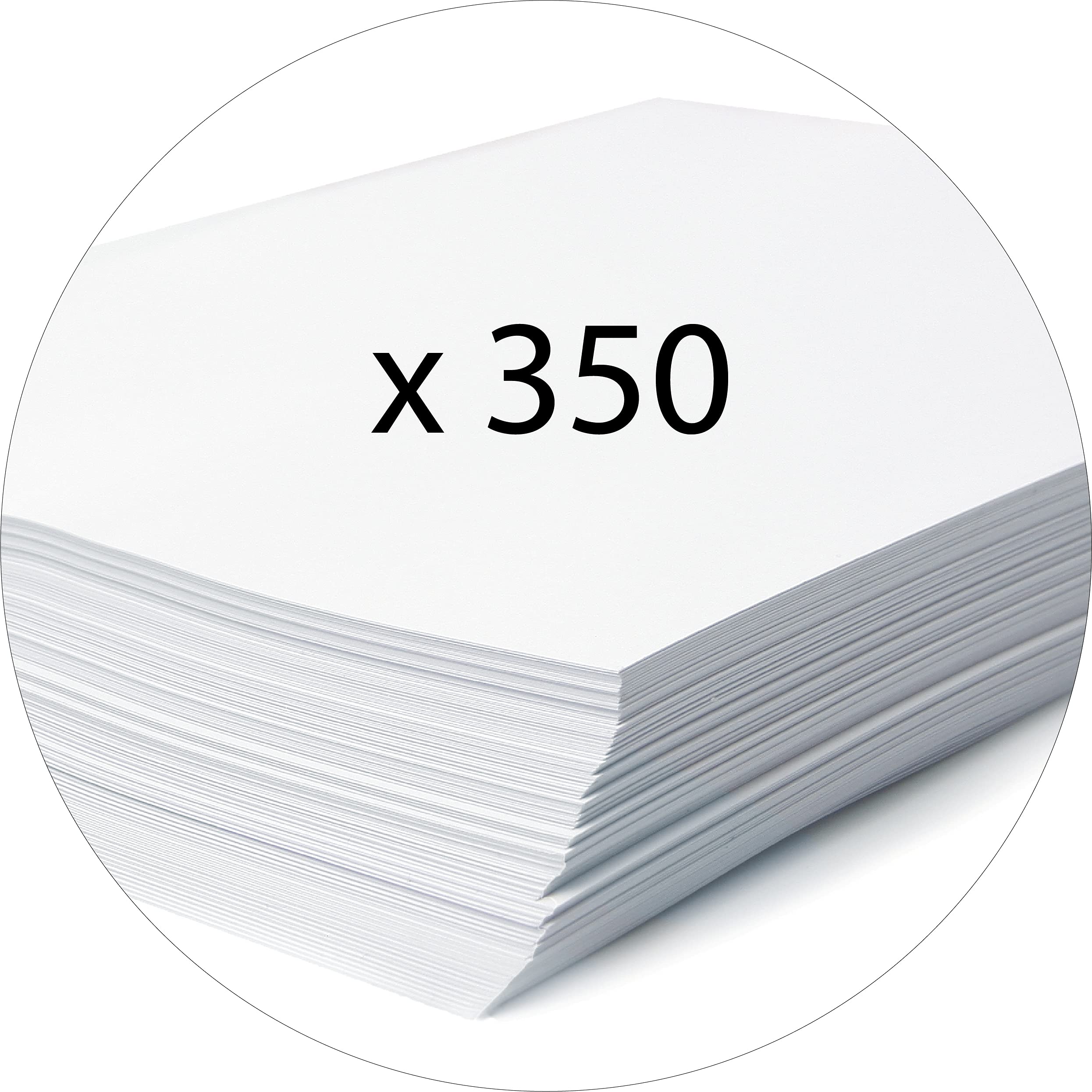 Exacompta 10 Boîtes de Classement Scotten A4 dos 4 cm Bleu