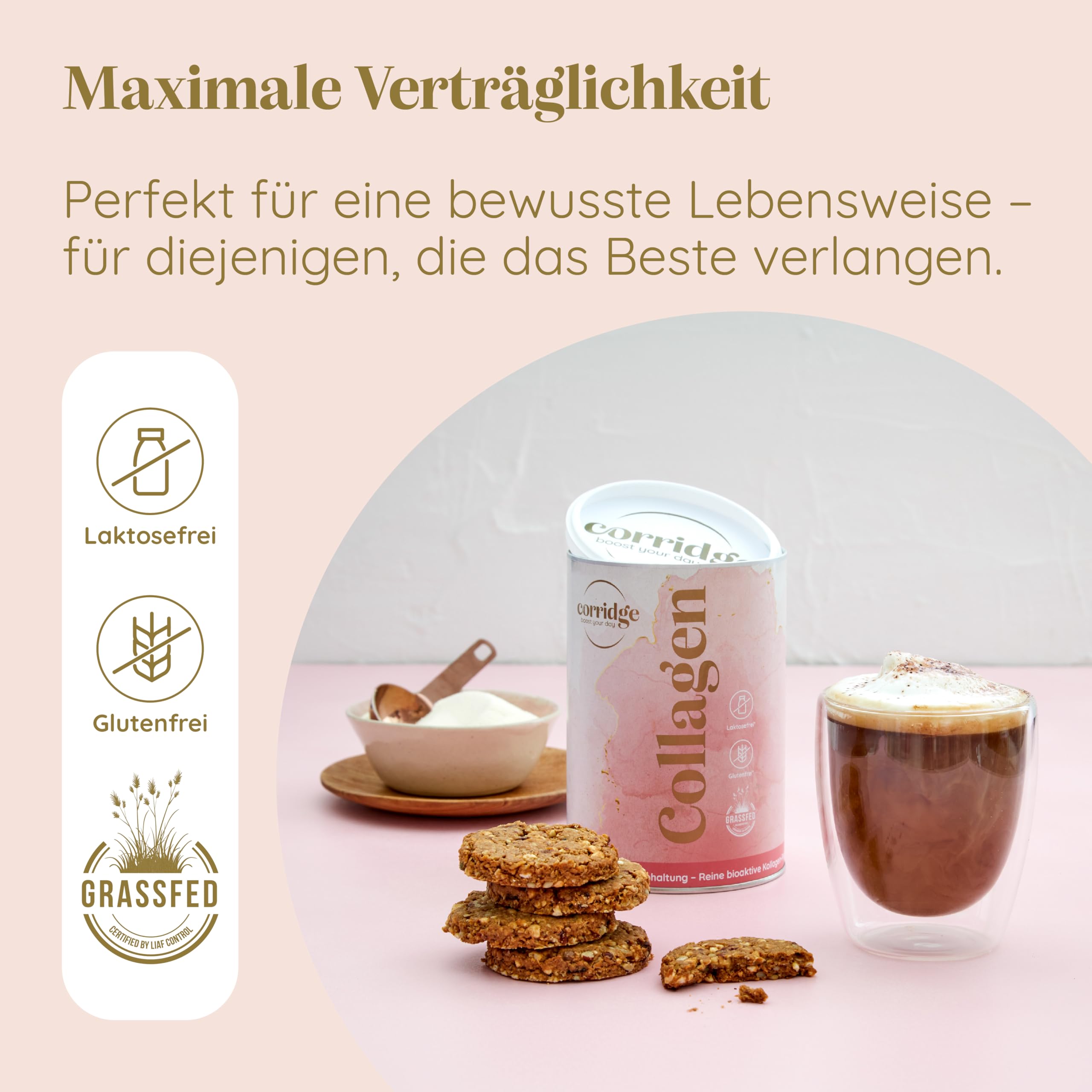 Probierpaket High Protein Porridge & Collagen Pulver - Haferflocken mit Kokos & Bananengeschmack - Bioaktives Collagenpulver leicht löslich - Typ I & III Kollagen für Haut Haare & Gelenke