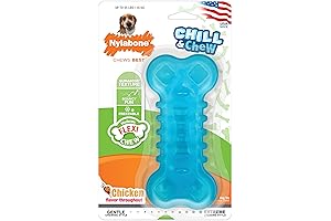 Nylabone Flexi Chew Chill & Chew Toy for Teething Puppies