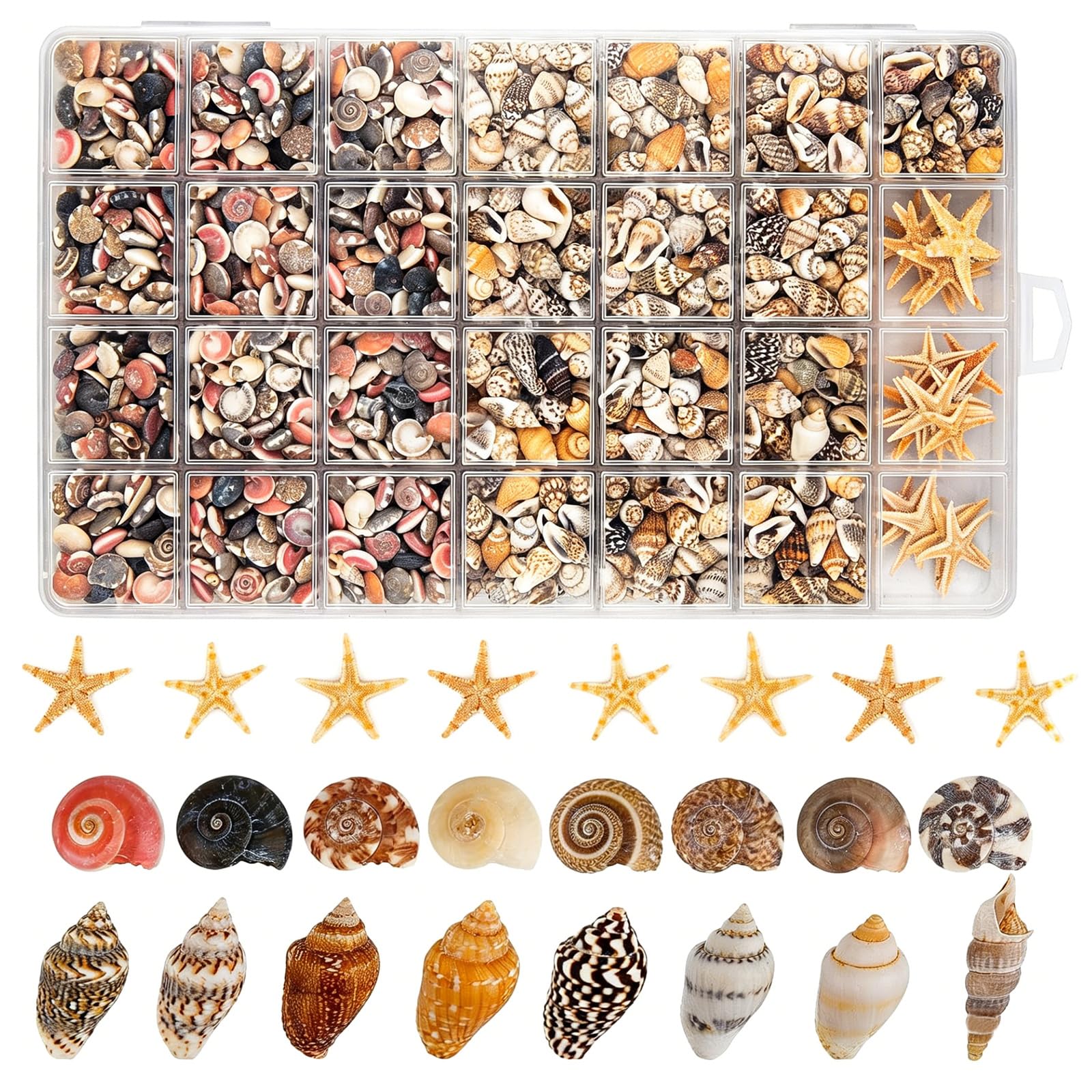 1200 PCS Tiny Seashells – 21 Starfish 18 Kinds Bulk Beach Set