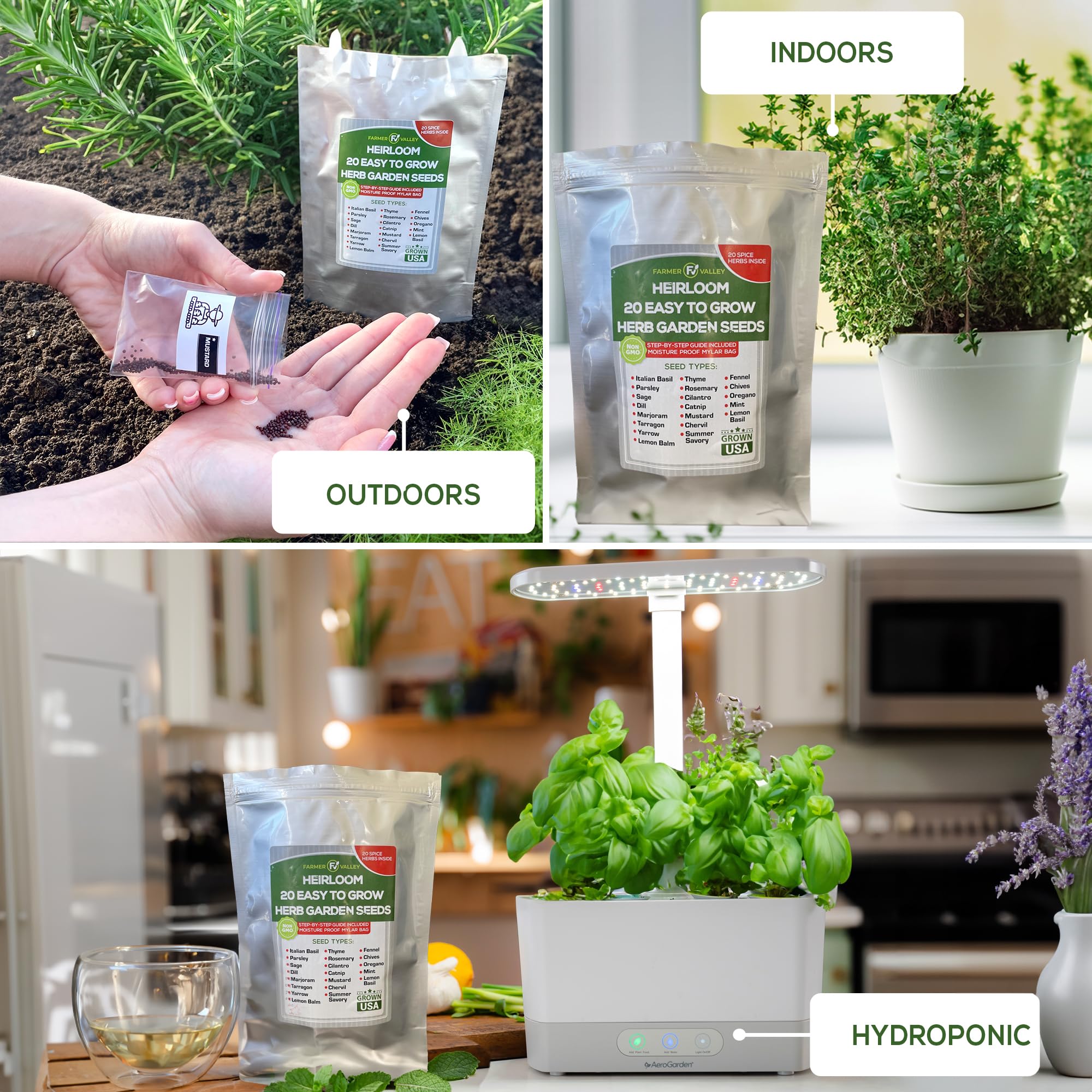 Amazon.com : 20 Easy to Grow Spice and Herb Seeds for Home