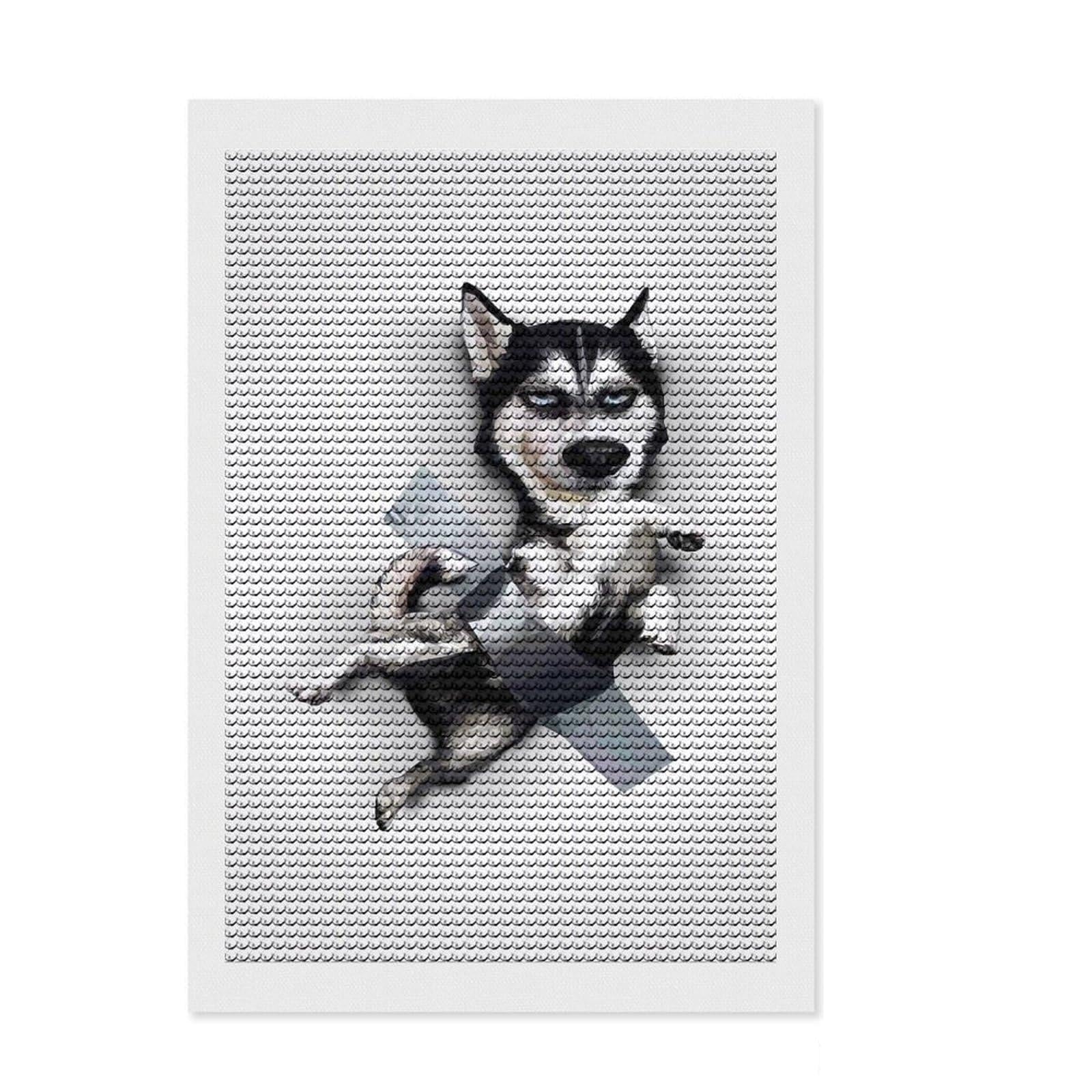 Junmoney Husky Diamond Painting Kit 8"x12", Detailed Printed Canvas, with Tool Kit, Full Kit Included, Canvas Picture