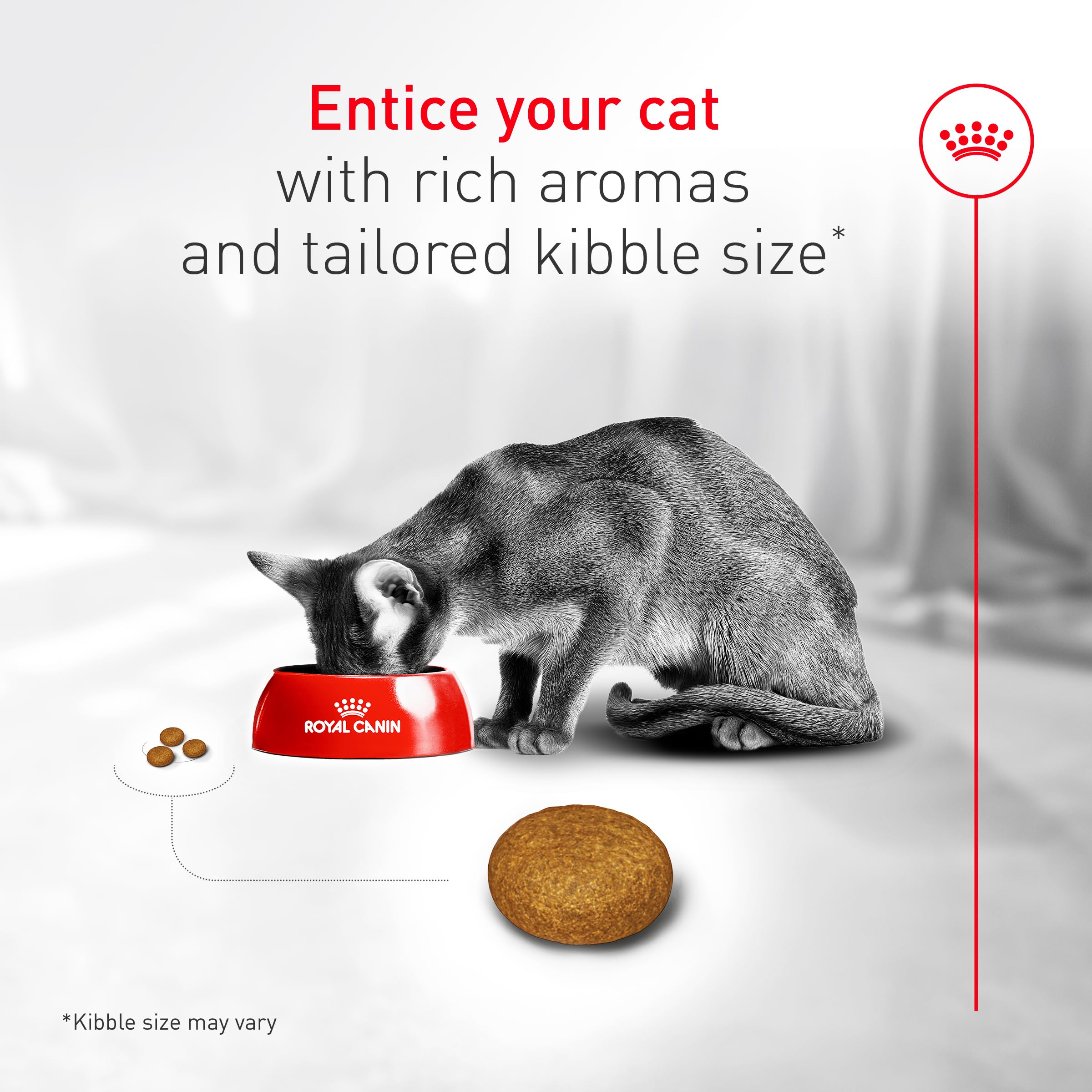 Royal Canin Fussy Katzenfutter trocken für ausgewachsene Katzen, Eiweißreiche Trockenfutter für wählerische Esser, Geflügelbasis, Unterstützt gesundes Gewicht und Harngesundheit, 3,2 kg Beutel