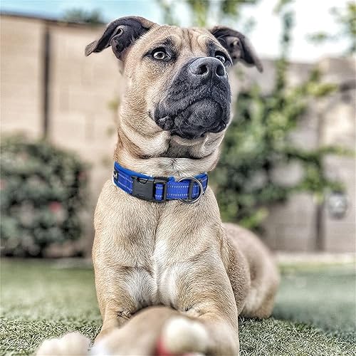 Miniatura 8 de EXCELLENT ELITE SPANKER Collar reflectante para perro, clásico, suave, acolchado, de nailon transpirable, ajustable, con hebilla de liberación