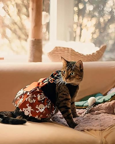 Fitwarm Little Miss Bootiful Halloween Dog Dress, Funny Costumes for Small Dogs Girl, Pet Outfit, Black, Hot Pink, XS(Hocus Pocus Y’ALL,Large)