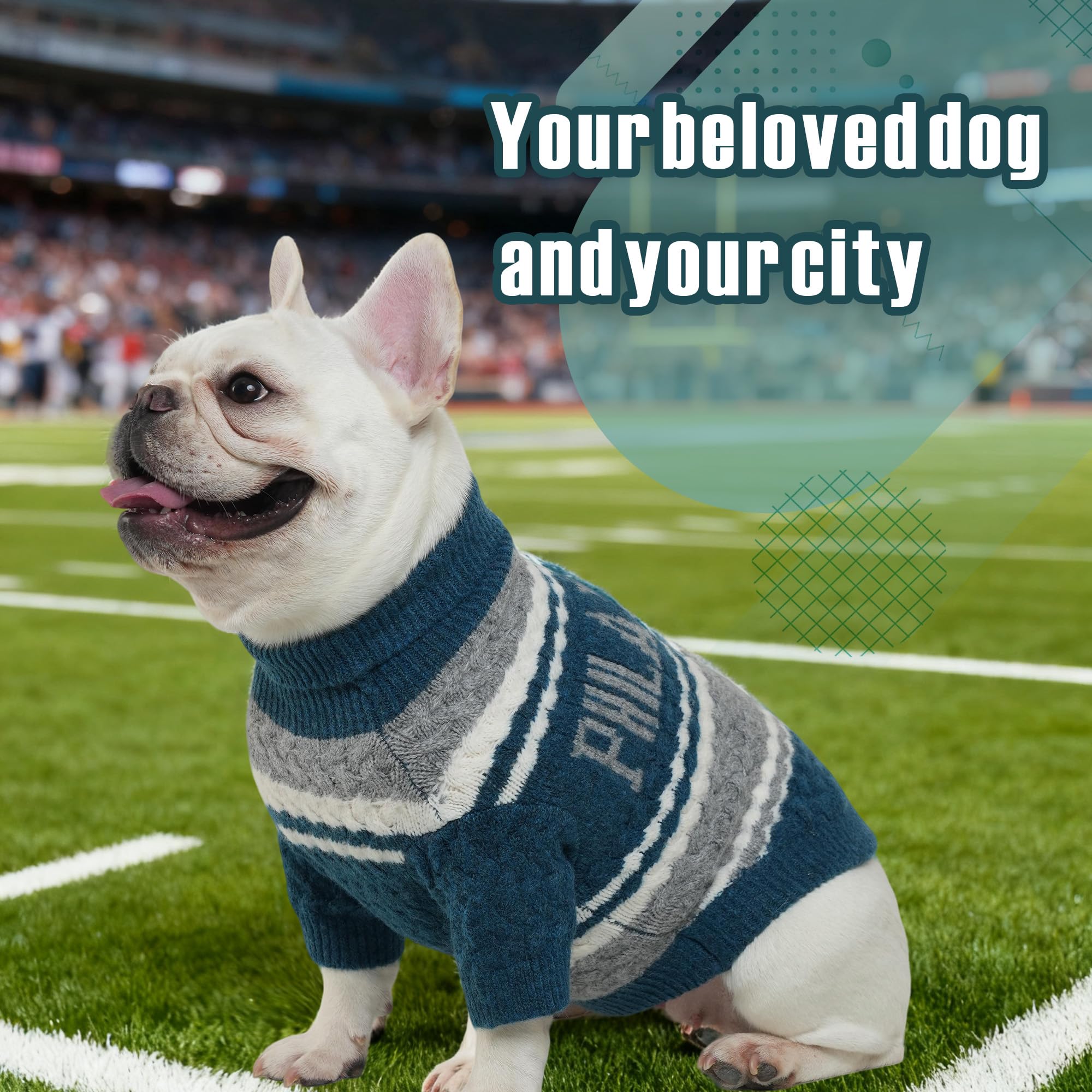 Suéter de punto con cuello alto y diseño de fútbol americano para mascotas pequeñas, ropa cálida de invierno para gatos y perros