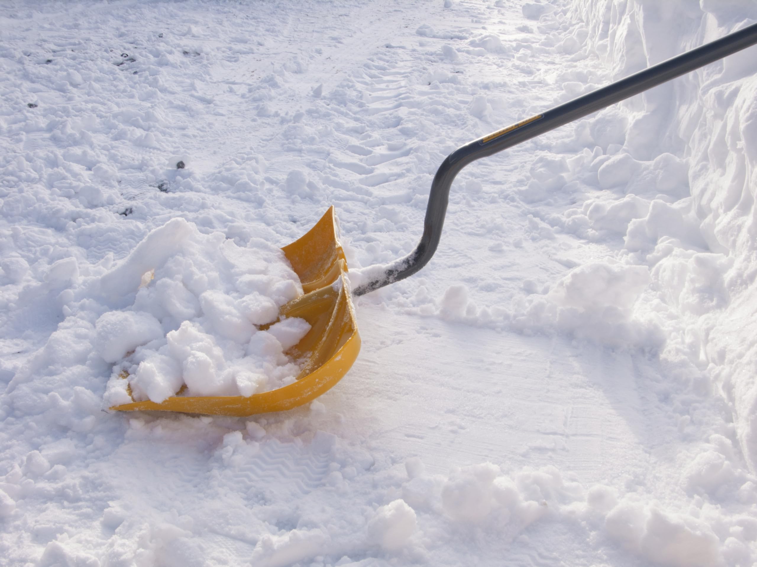 The Best Ergonomic Snow Shovel for Your Back (2026) 1 Product photo