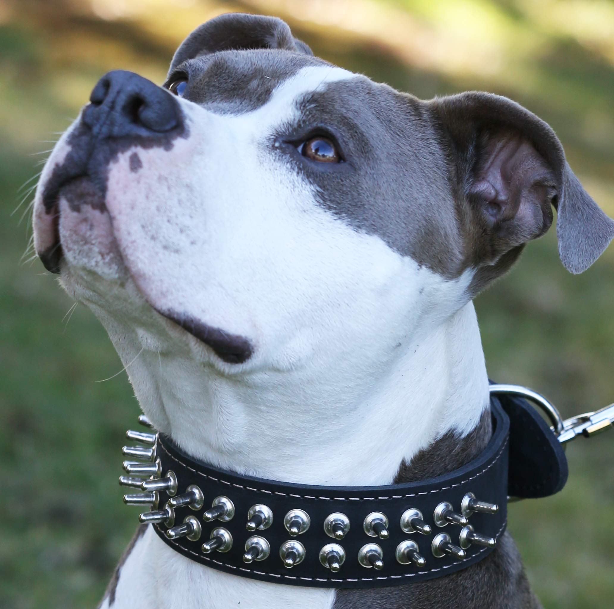 Amazon.com : Thick Genuine Leather Spiked Dog Collar 2