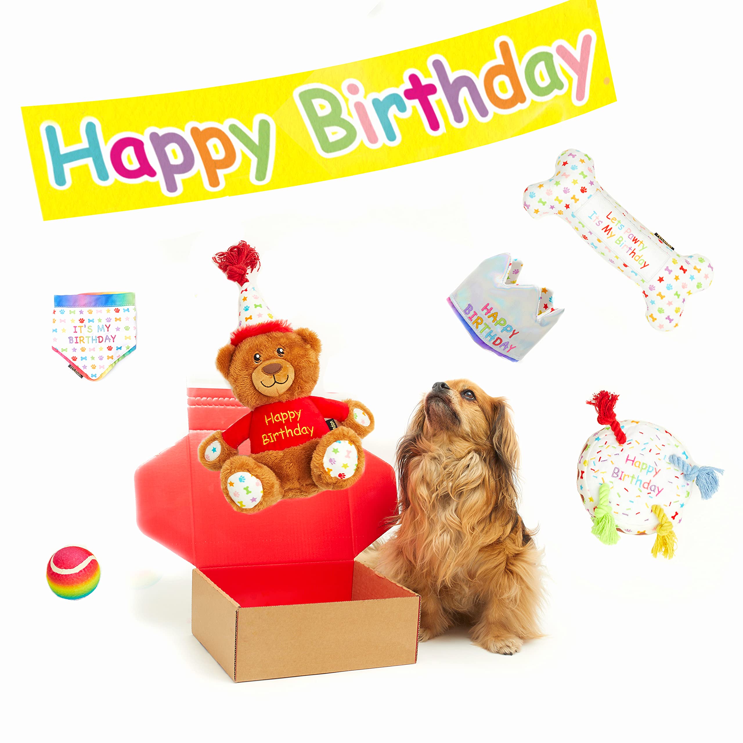 Coffret cadeau d'anniversaire pour chien 6 pièces avec jouets, chapeau et bandana Taille S