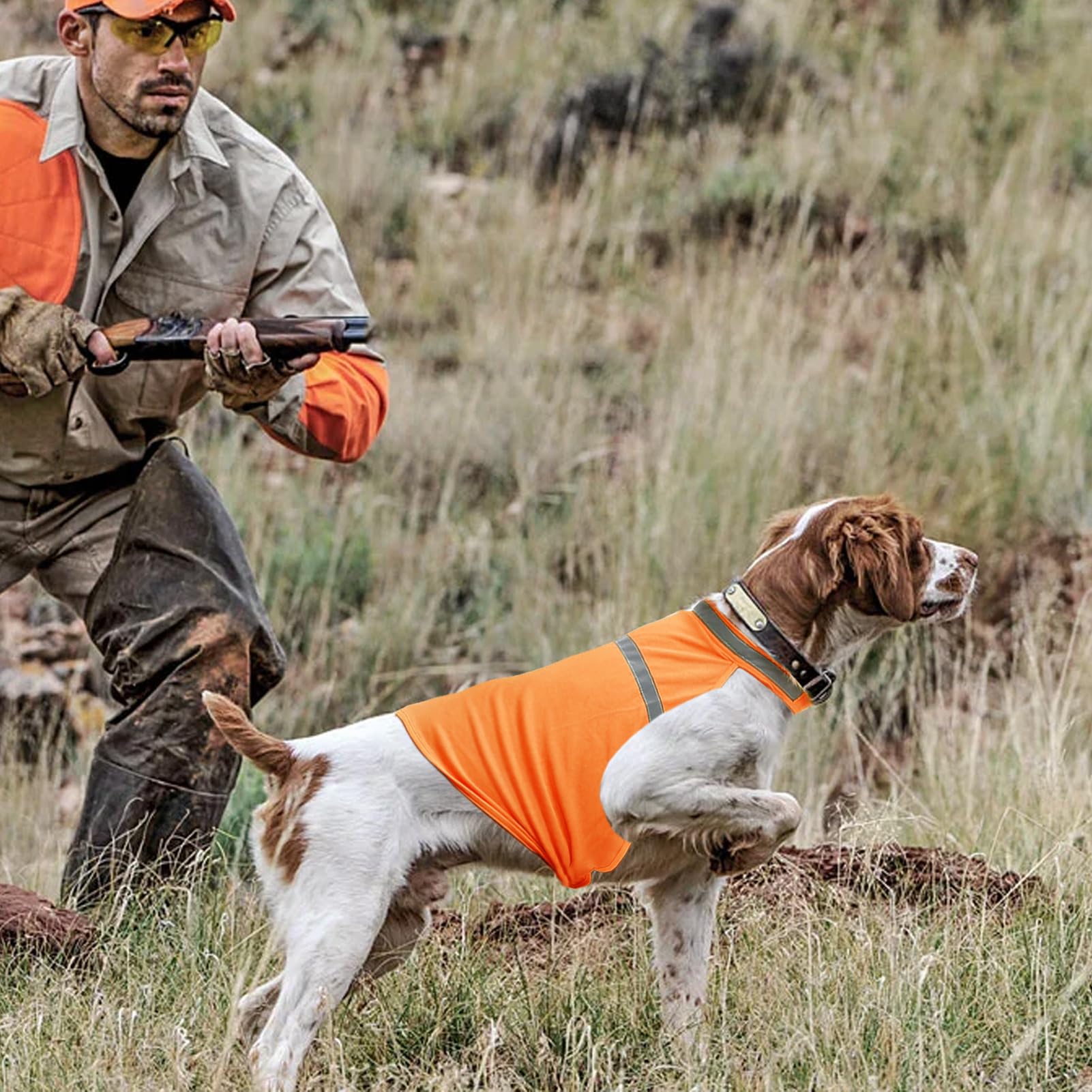 Gilet de sécurité pour Chien - Orange Fluorescent, Réfléchissant, Respirant - Chasse, Promenade, Entraînement