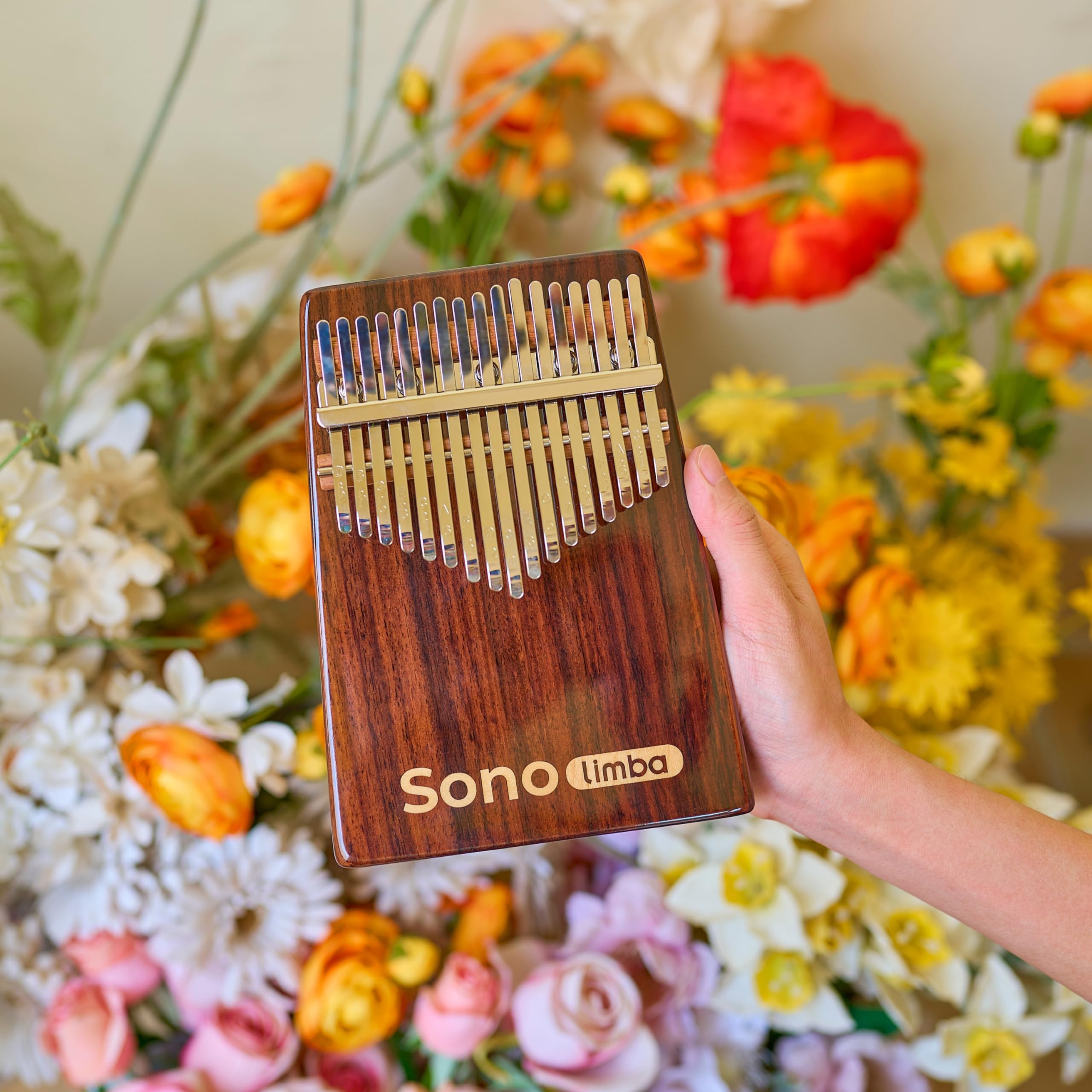 Kalimba avec 17 clés - Piano à pouces en bois de rose de haute qualité. Piano portable avec pochette et livre de chansons. Instrument de musique. Percussion à main pour enfant ou adulte