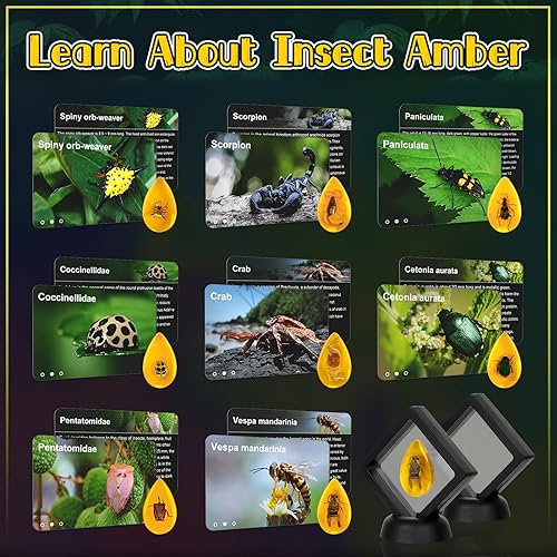 Miniatura 3 de Kit de excavación de ámbar más grande, 8 resinas de insectos artificiales diferentes, excavar especímenes de insectos únicos, juguetes educativos de