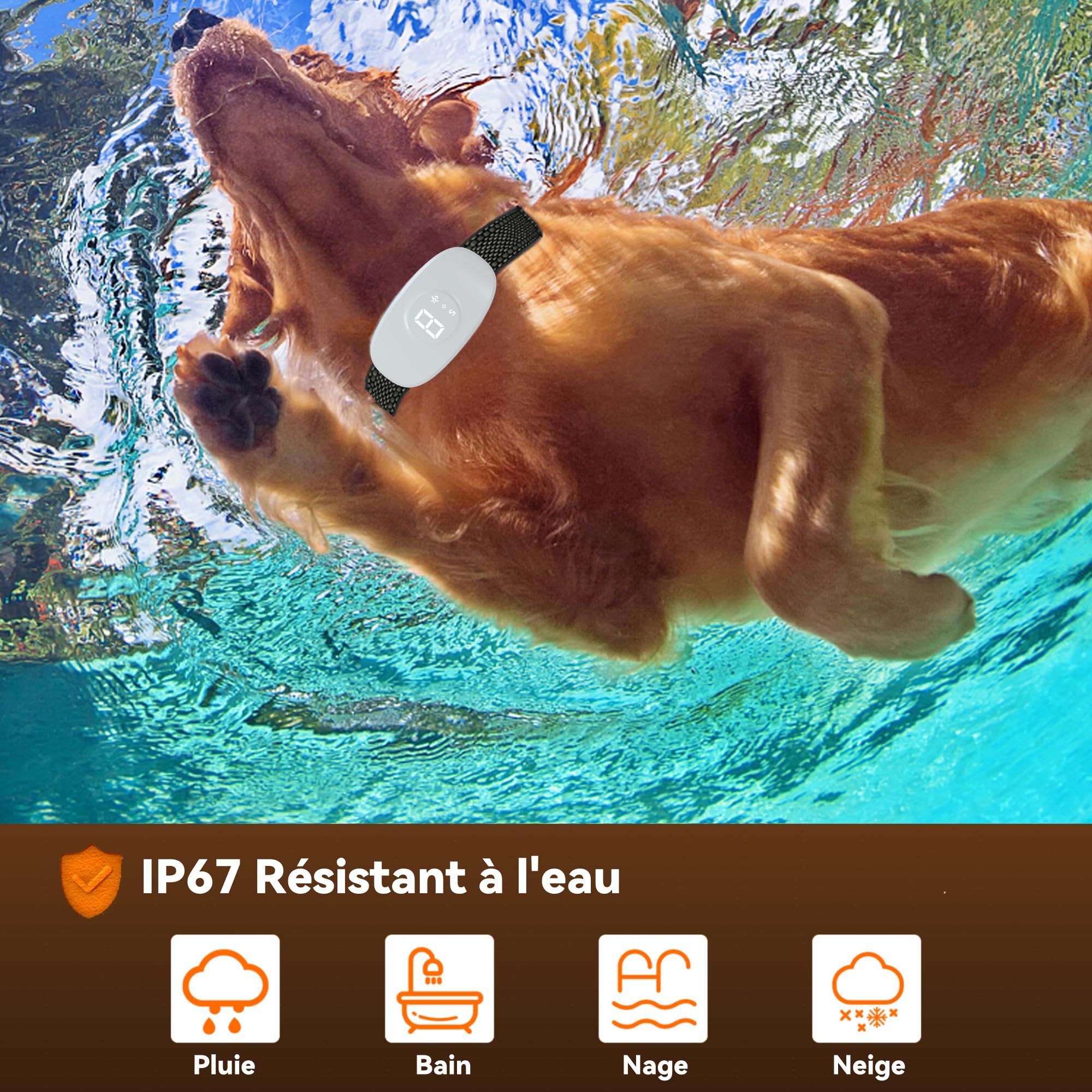 Collier Anti Aboiement - Conformes à La Nouvelle Loi 2024 - Collier Vibrant,sans Choc Statique avec 8 Sensibilité Réglables, 3 Modes Sonore/Vibration/Forte Vibration, Adapté à Tous Les Chiens, Blanc