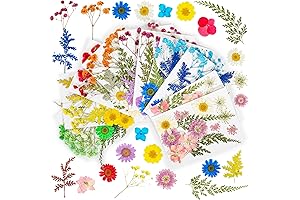100% Real Dried Natural Press Flowers for Resin Crafts