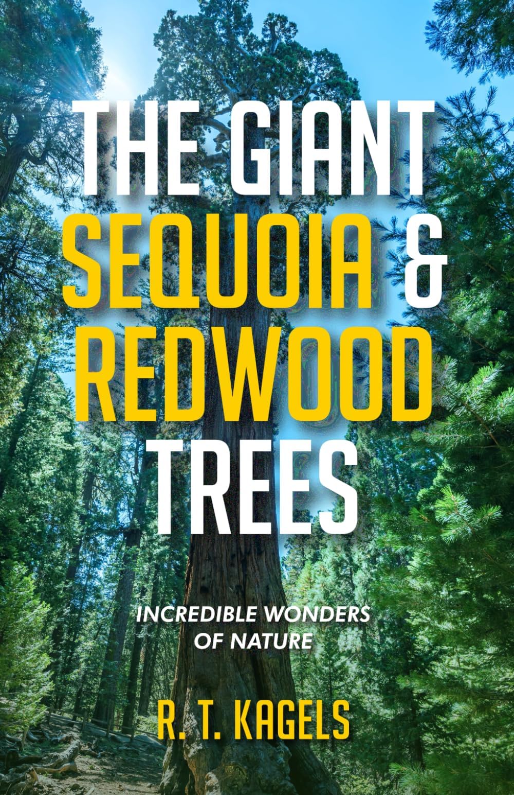 THE GIANT SEQUOIA & REDWOOD TREES: INCREDIBLE WONDERS OF NATURE