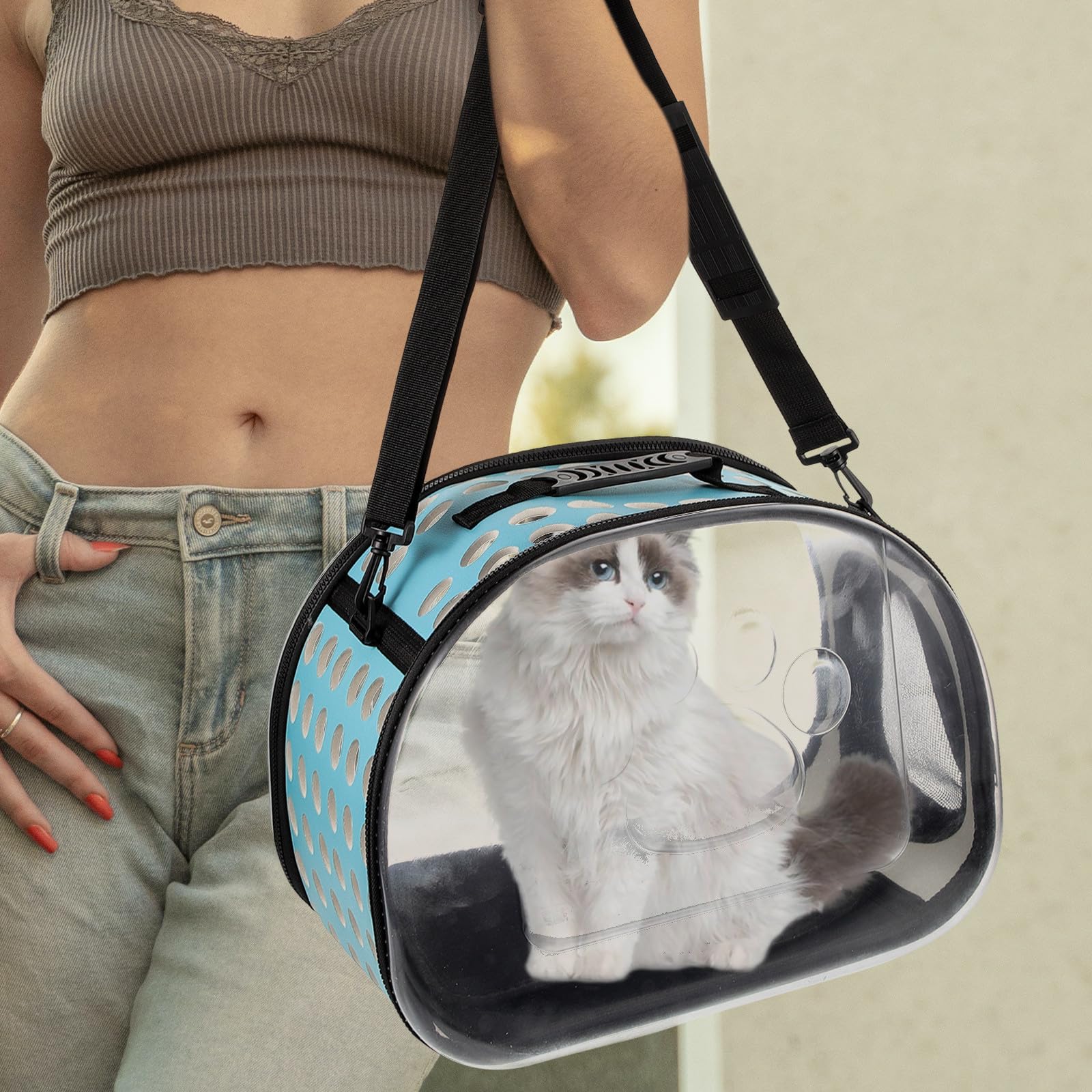 Transparenter Katzentransportrucksack für Reisen und Camping, Blau