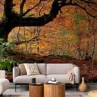 Vista 37 de artgeist Mural de Pared Forestal 154x122 pulg - Adhesivo de Pared Autoadhesivo para Despegar y Pegar, Adhesivo de Pared, Adhesivo de Foto