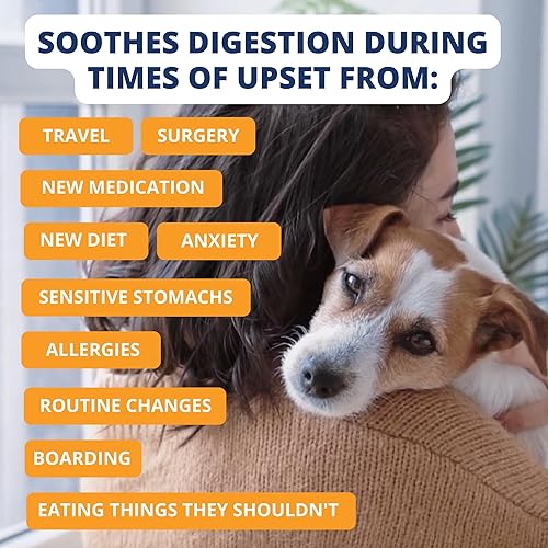 Miniatura 5 de Under the Weather Pet Easy to Digest - Dieta de comida para perros bland  Contiene electrolitos  Sin gluten, totalmente natural, liofilizado 100%