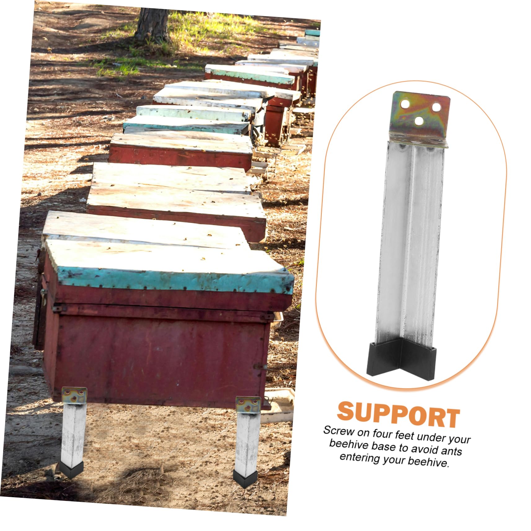 Supporto per Arnia in Acciaio Inox 4 Pezzi, Argento | Struttura Stabile, Base Plastica, per Apicoltori Esperti e Principianti, Uso in Fattoria o Balcone