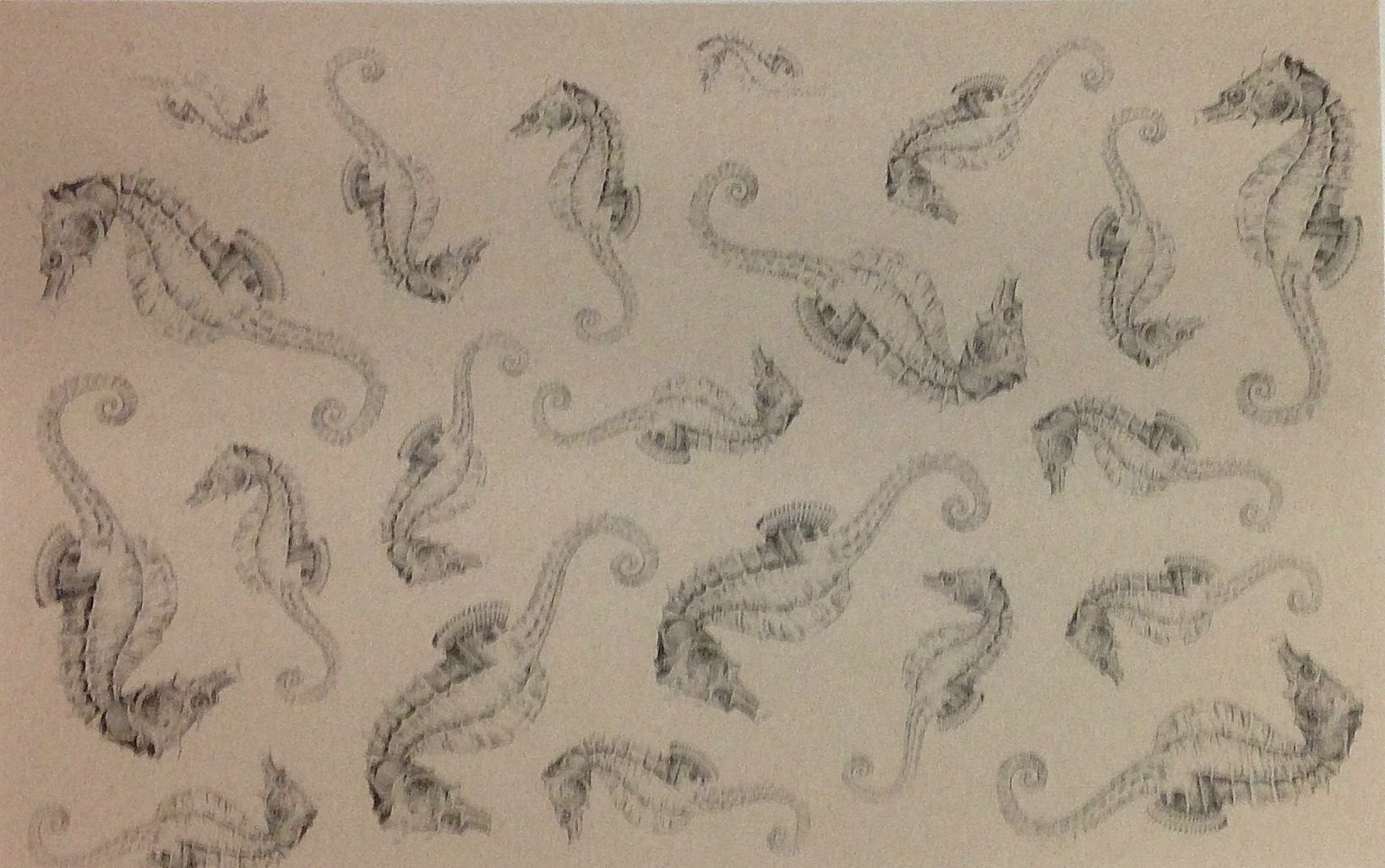 French Paper Dining Placemats - Set of 12 (Seahorse Medley)