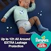 Pampers Baby-Dry Night Nappy Pants Size 6, 24 Night Nappies, 15kg+, Essential Pack, Pampers Most Absorbent Pants for Extra Night Protection