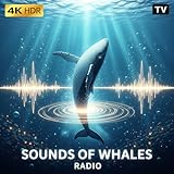 Relaxscreenhub TV