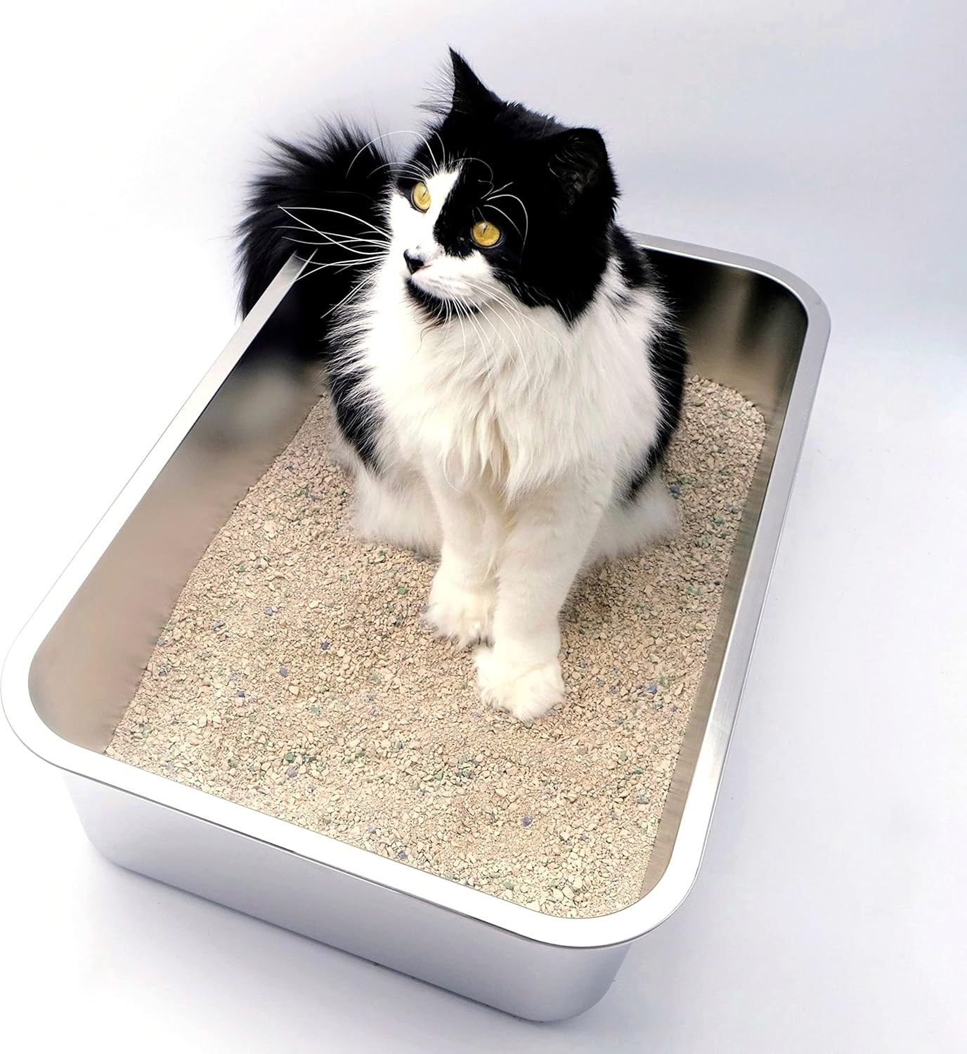 Midlee Stainless Steel Cat Litter Box- XL Size- 23.5" x 15.5" x 5.75"